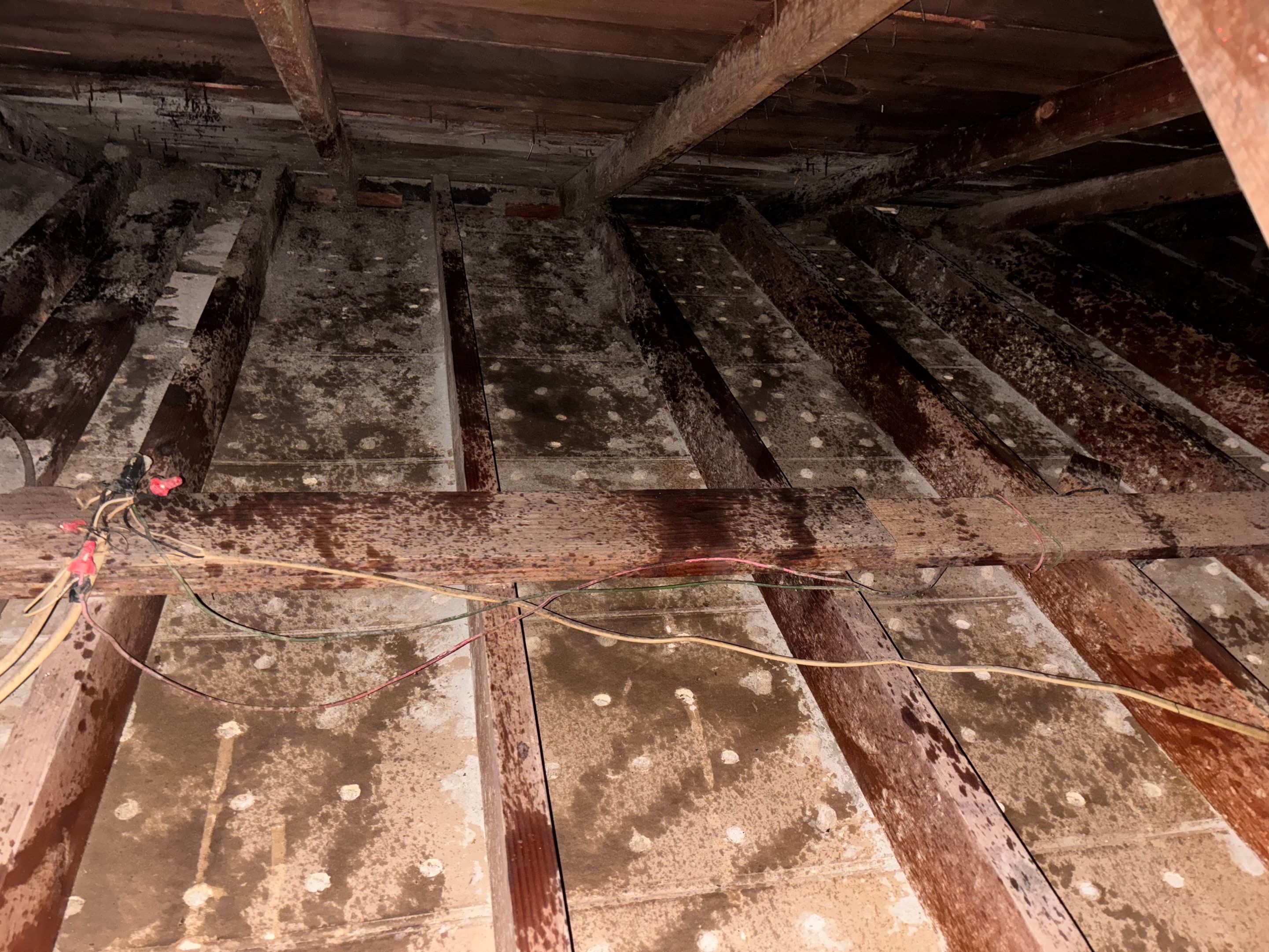 Project in Whittier by Insulation Labs