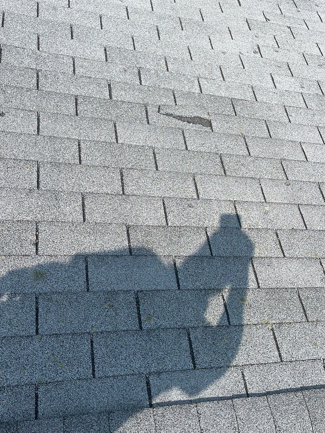 Residential Roof Replacement by Sensible Home Solutions