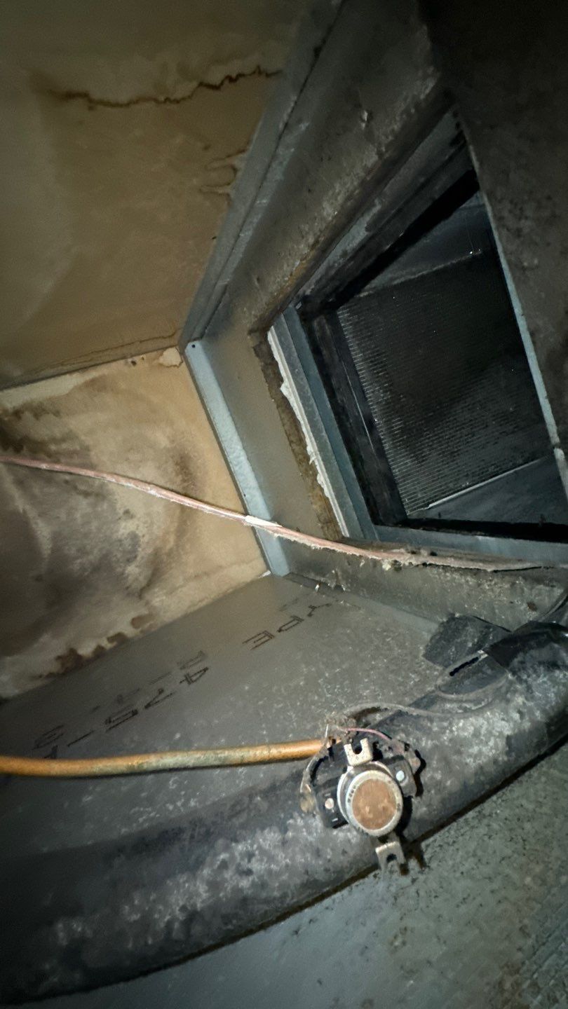 Commercial Air Duct Cleaning in Tavares by Hygienic Air, Inc