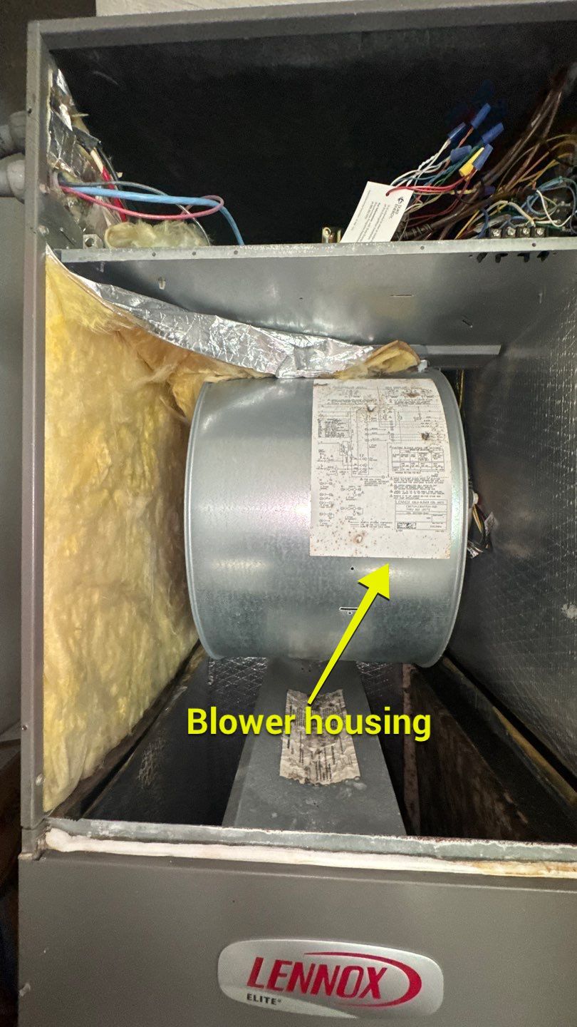 Air Duct and Dryer Vent Cleaning in Orlando by Hygienic Air, Inc