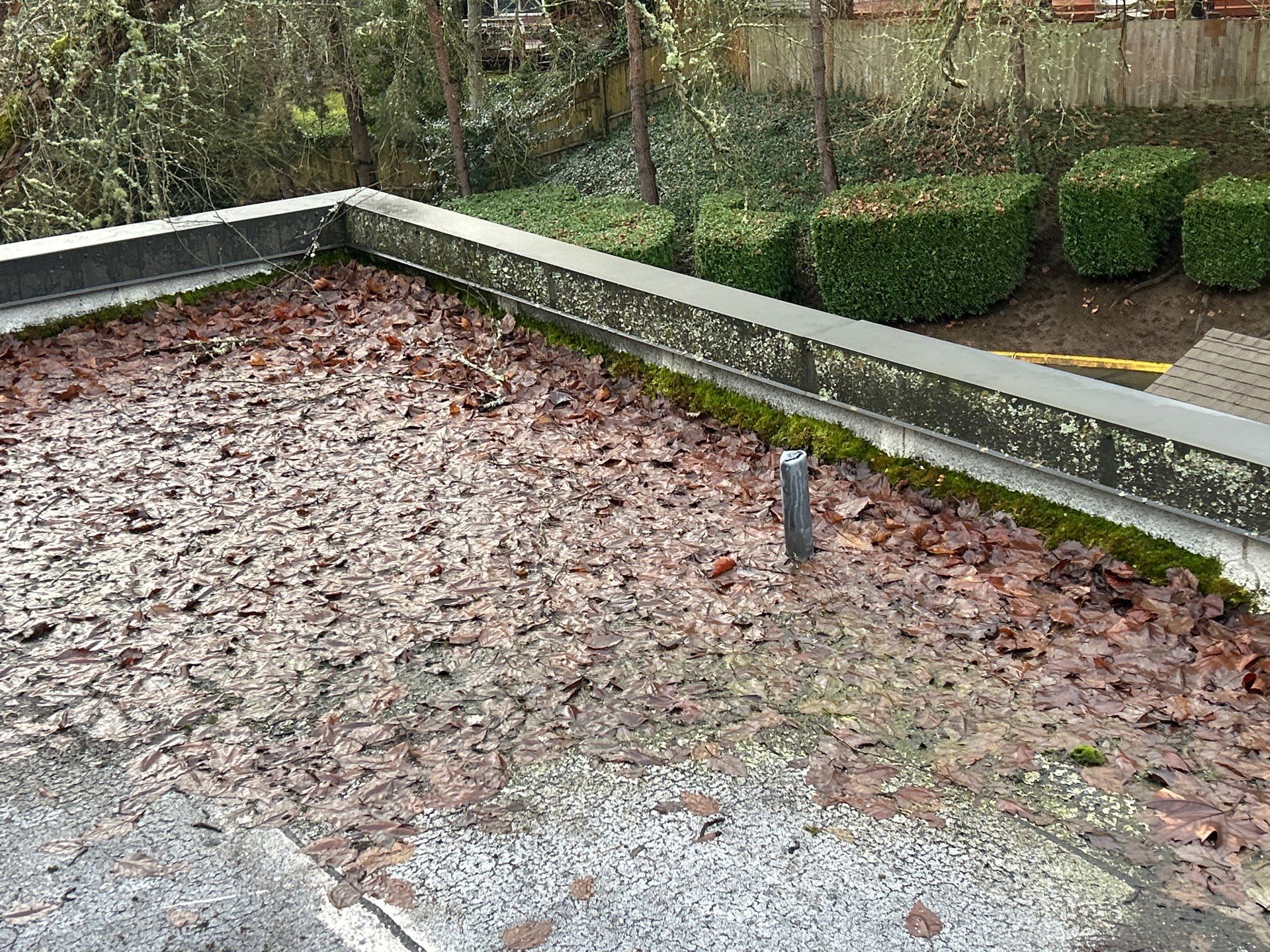 Project in Kirkland by Connolly Construction Company