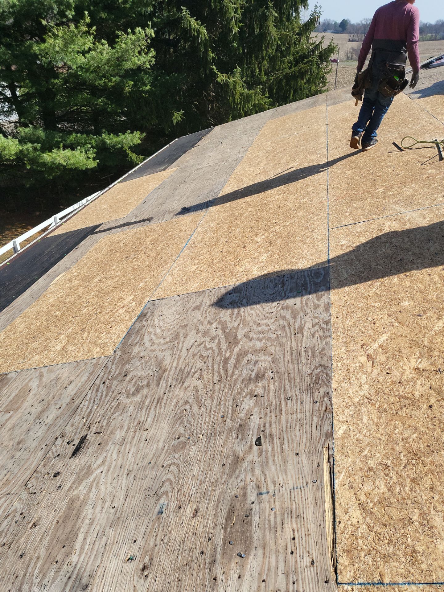 Atlas Pinnacle Color: Majestic Shake; Drip Edge Color: Royal Brown by Eagle Eye Roofing