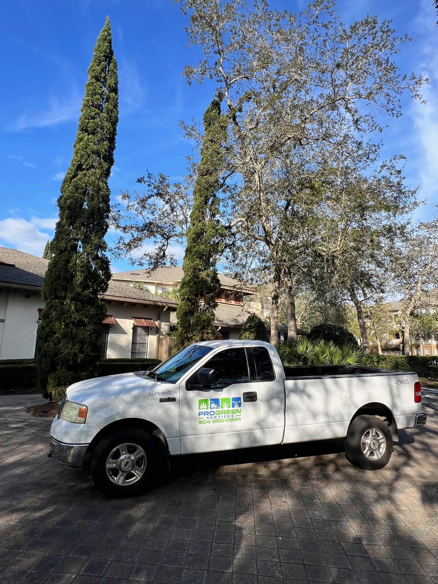William's Walk | Italian Cypress Removal by ProGreen Services