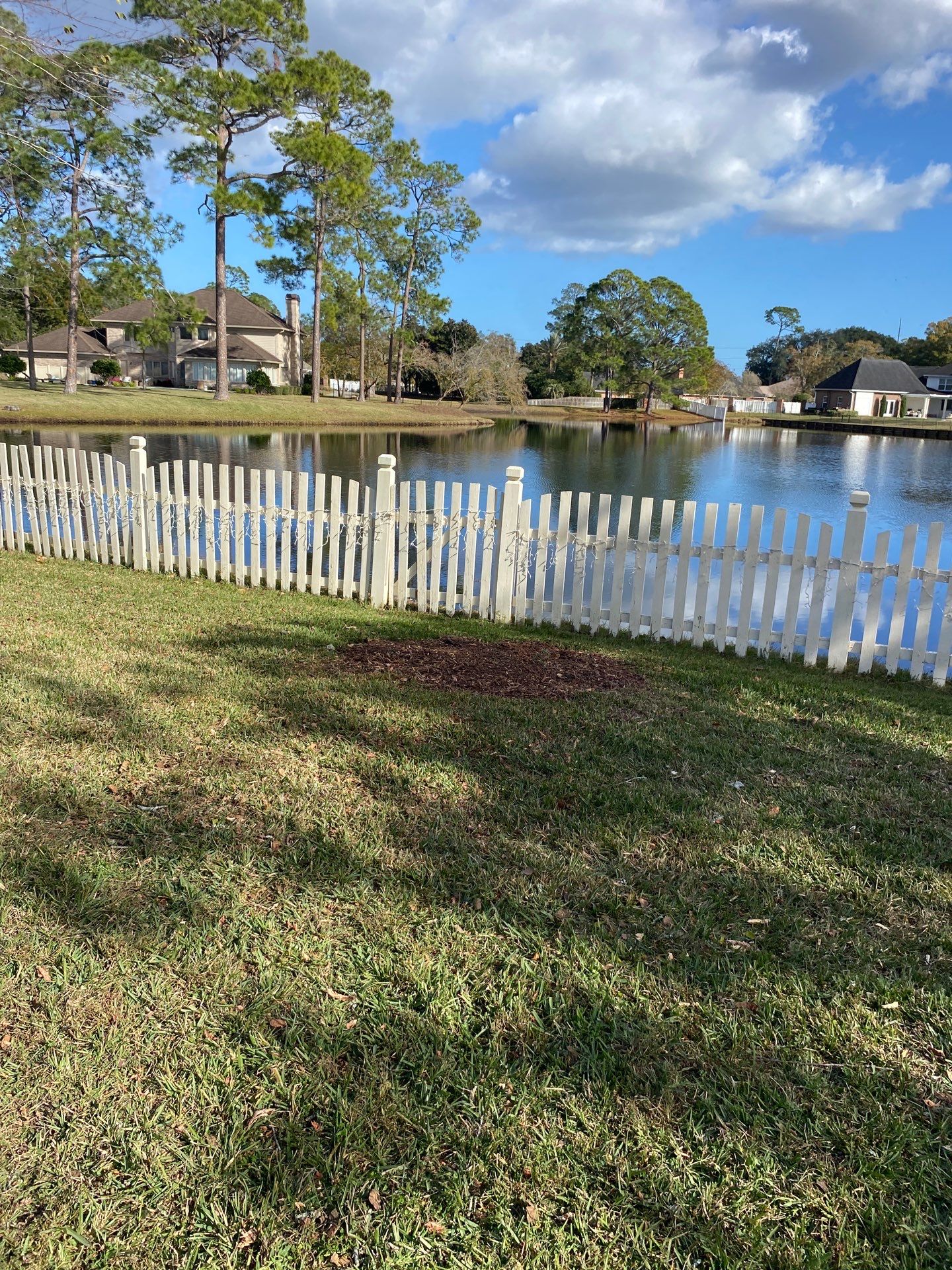 Deerwood Resident | Tree Removal & Palm Trimming by ProGreen Services