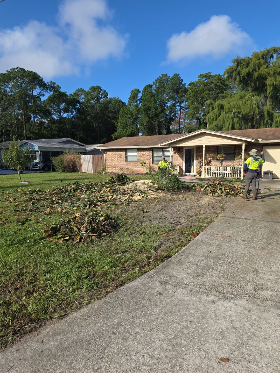 Tree Removal & Sod Install | Residential by ProGreen Services