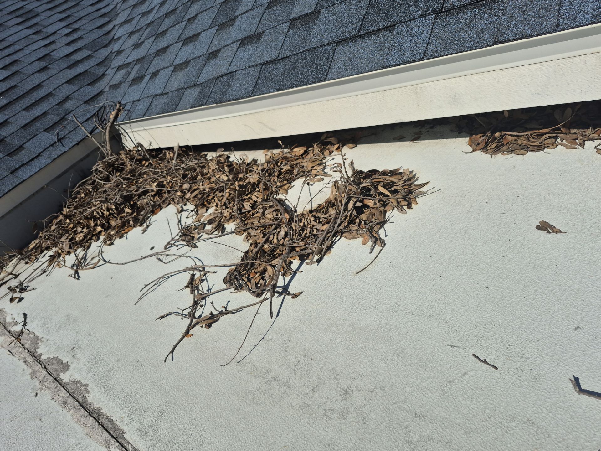 Project in St. Petersburg 33712 by Mitchell Roofing Company LLC 