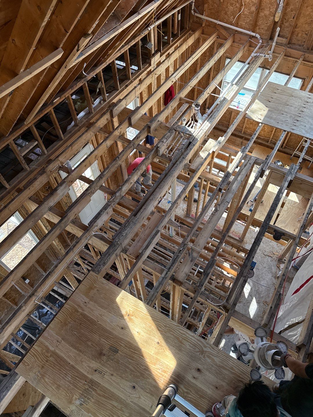 Large‑Loss Water Damage, Structural Drying & Mold Remediation – Rehoboth Beach, DE by Healthy Home Solutions