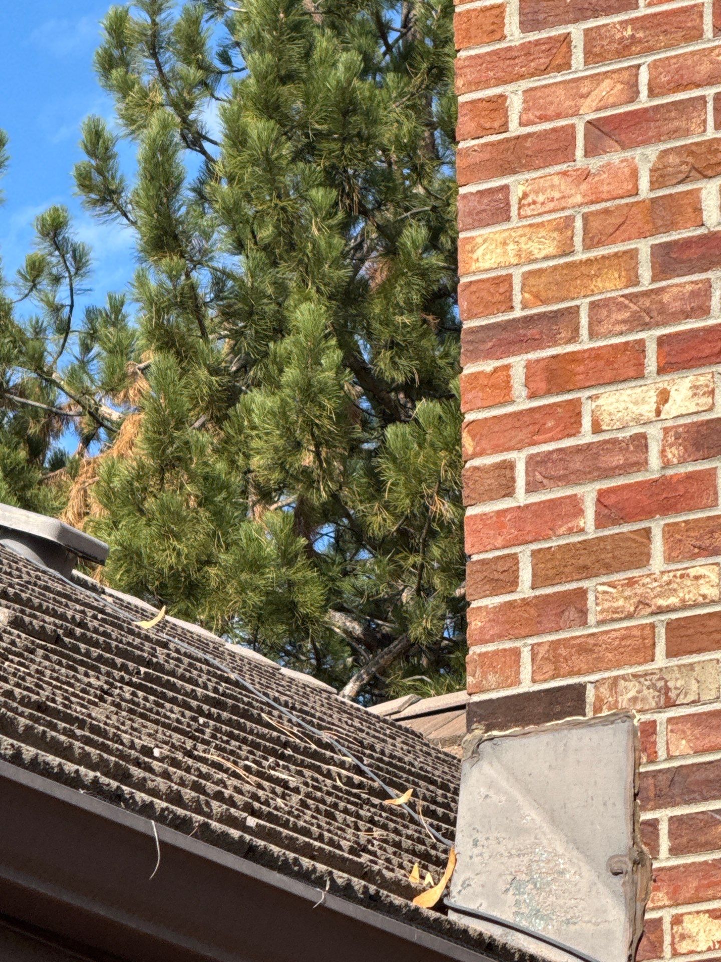 Unified Stone Coated Roof & Stucco Remodle by Blue Peaks Roofing LLC