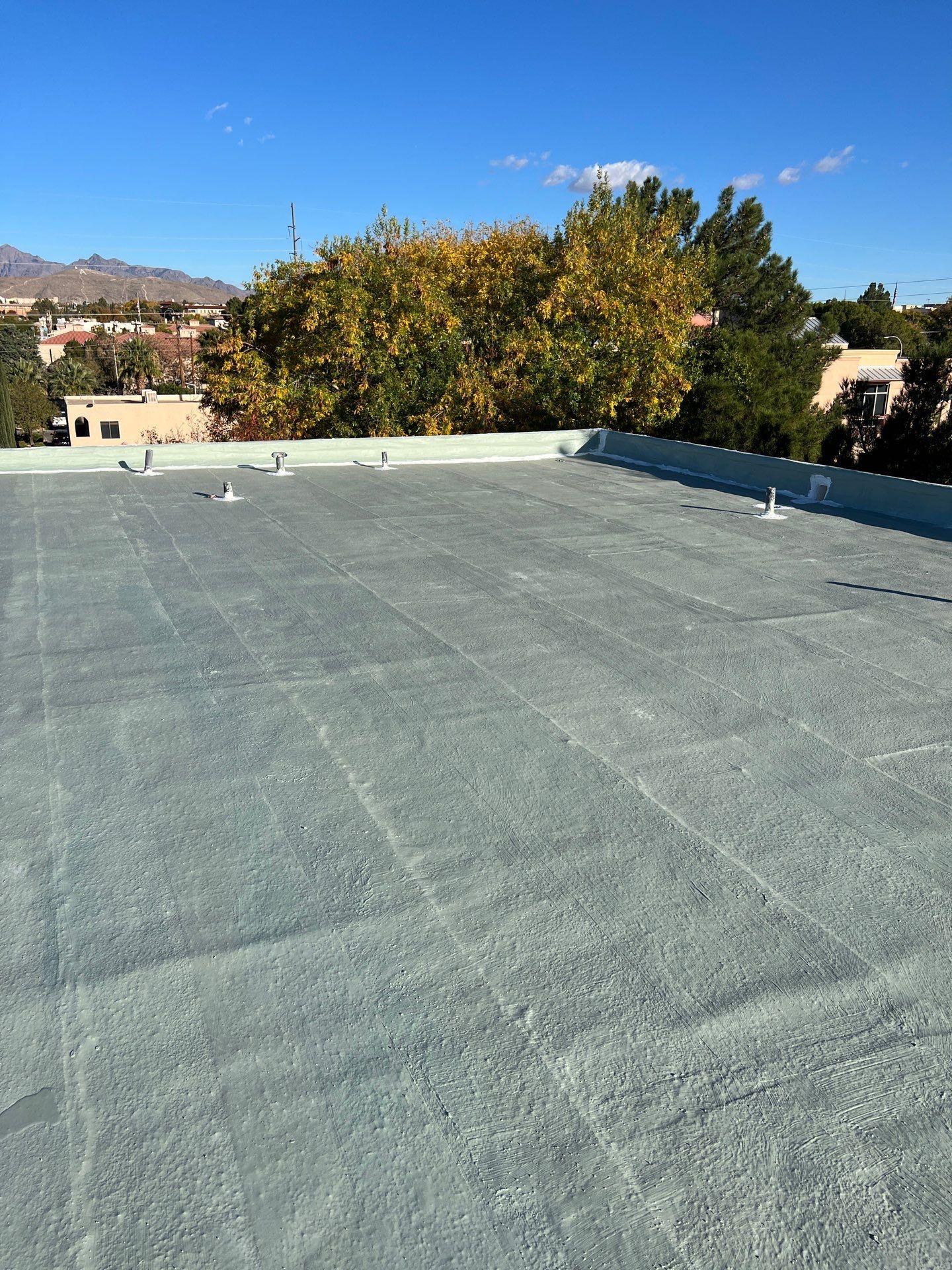 Las Palmas Apartments by SPF Services 