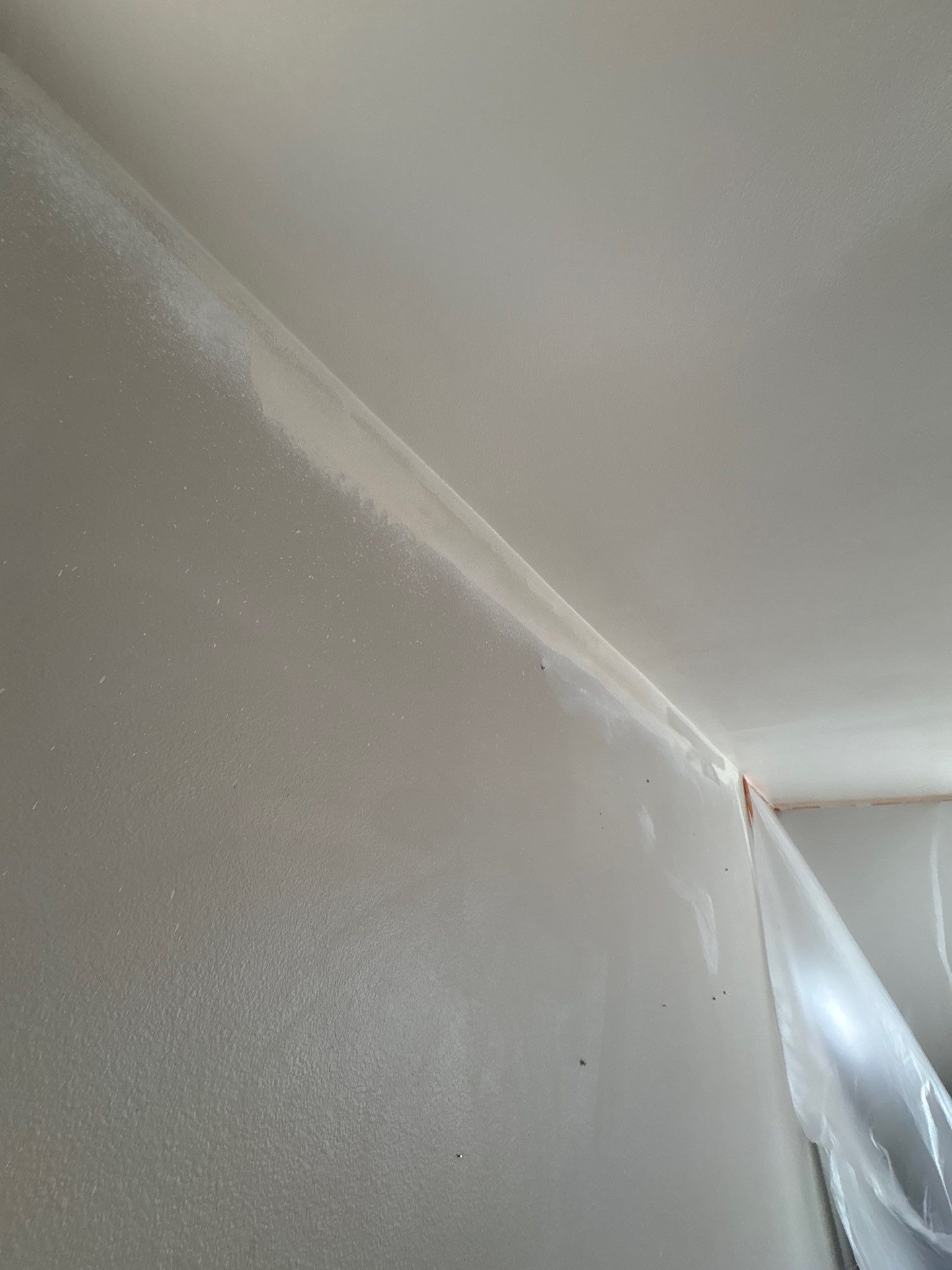 Puyallup Water Damage Roof Replacement  by Proline Roofing & Restoration LLC