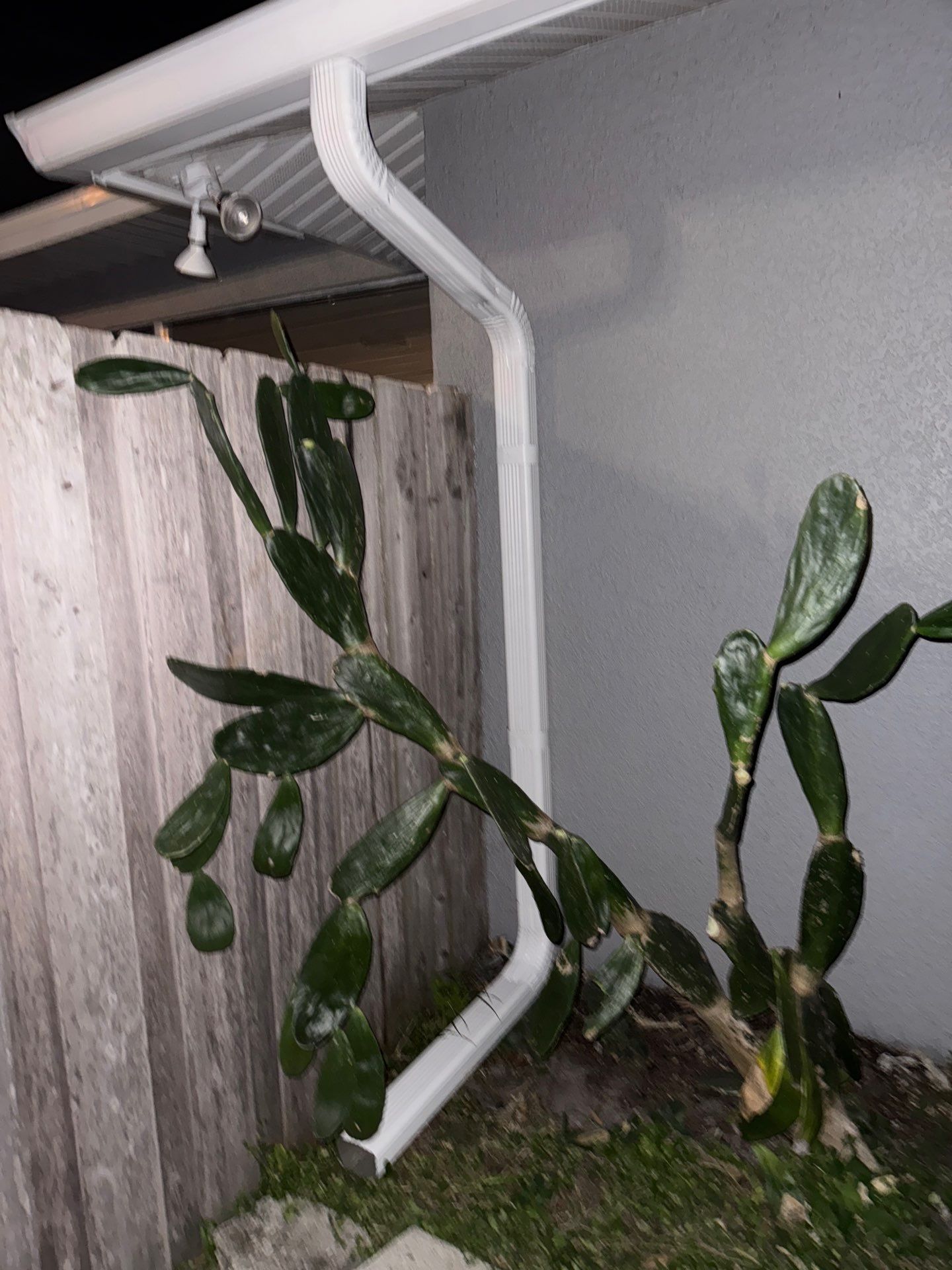 K-Style Seamless Gutters in Sarasota FL by Gutter Professors