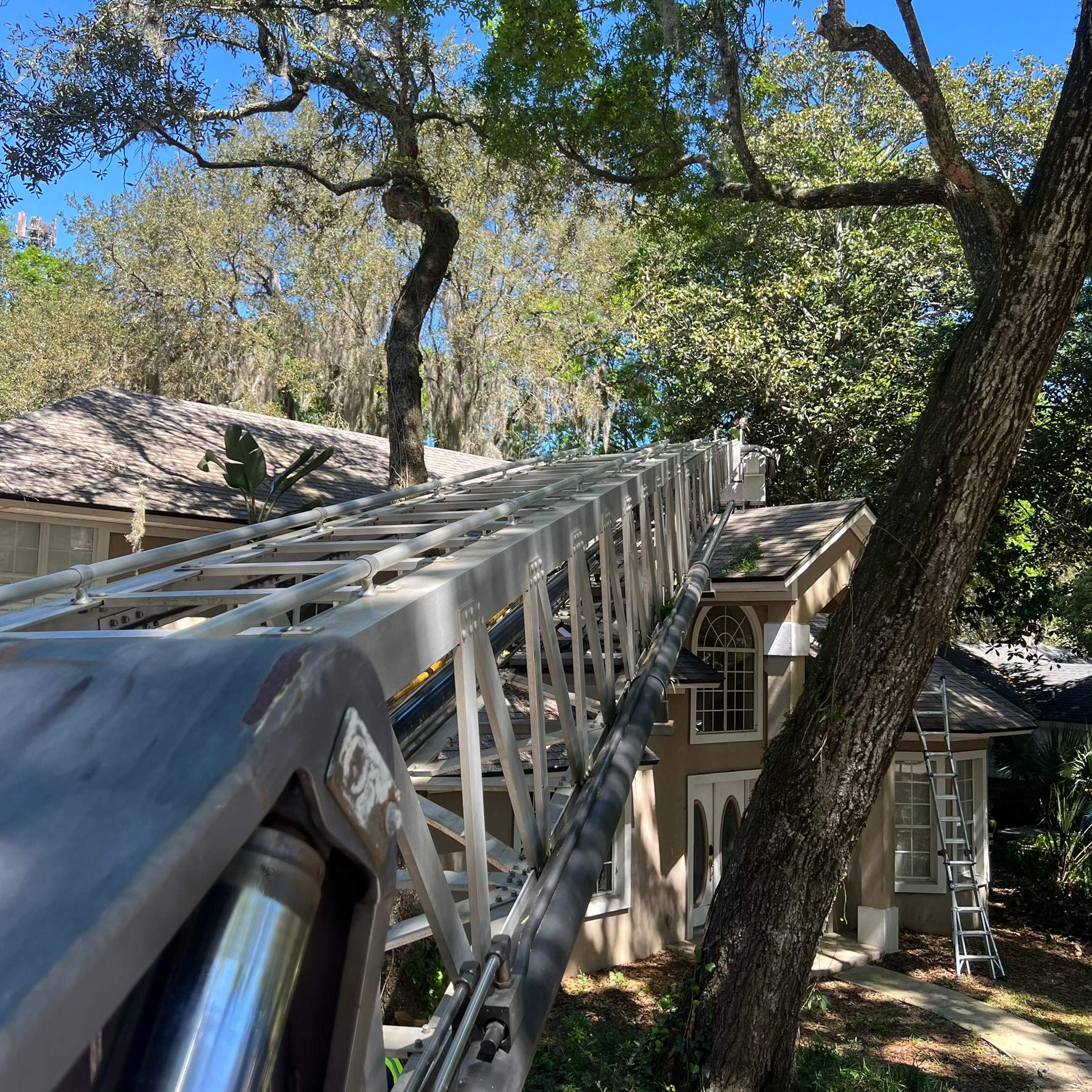 Tree Trimming | Hidden Hills by ProGreen Services