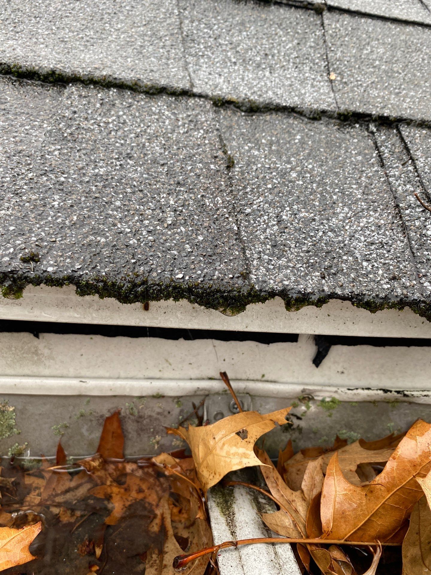Gutters | Arlington by Mighty Dog Roofing of Greater Middlesex County
