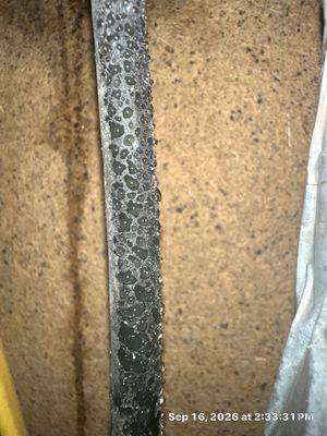 Roof Leak Water Damage — Estero, FL