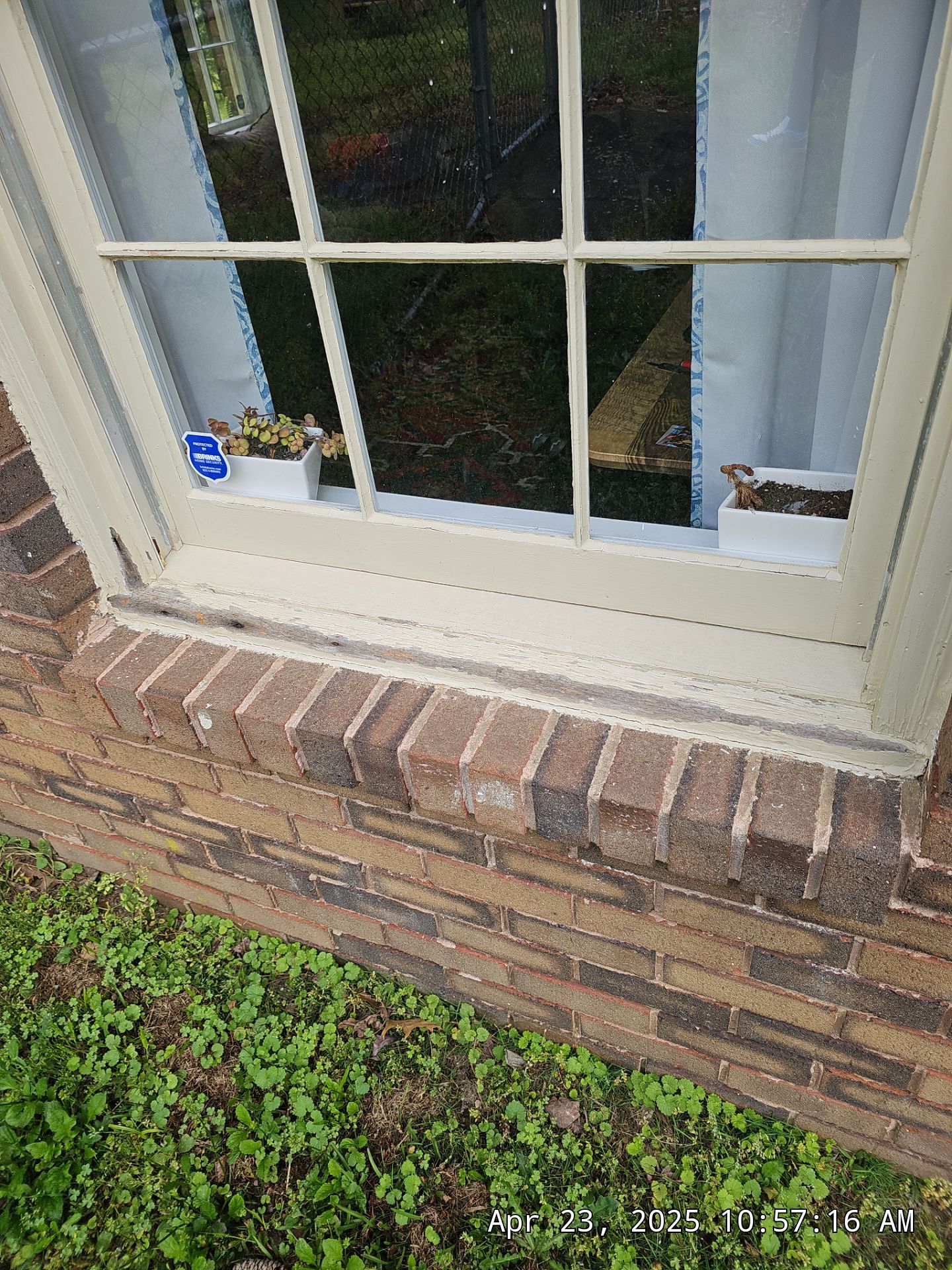 Pantanzis Project in Birmingham by The Window Source