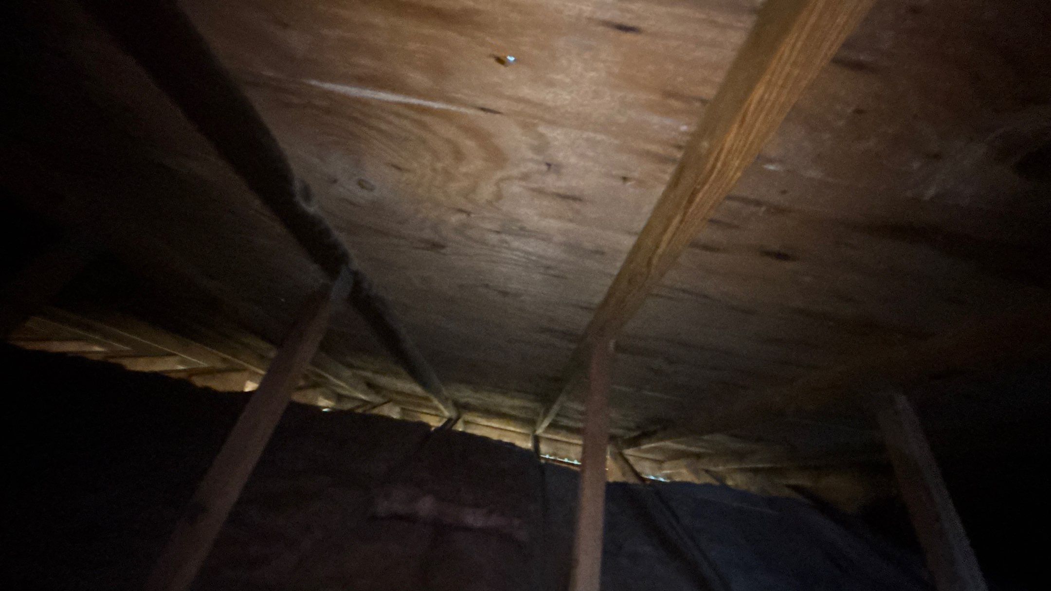 Roof Replacement using Owens Corning Summer Harvest by 180 Contractors