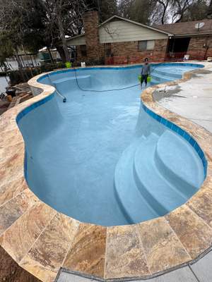 Freeform Pool with Tanning Ledge and Stone Coping