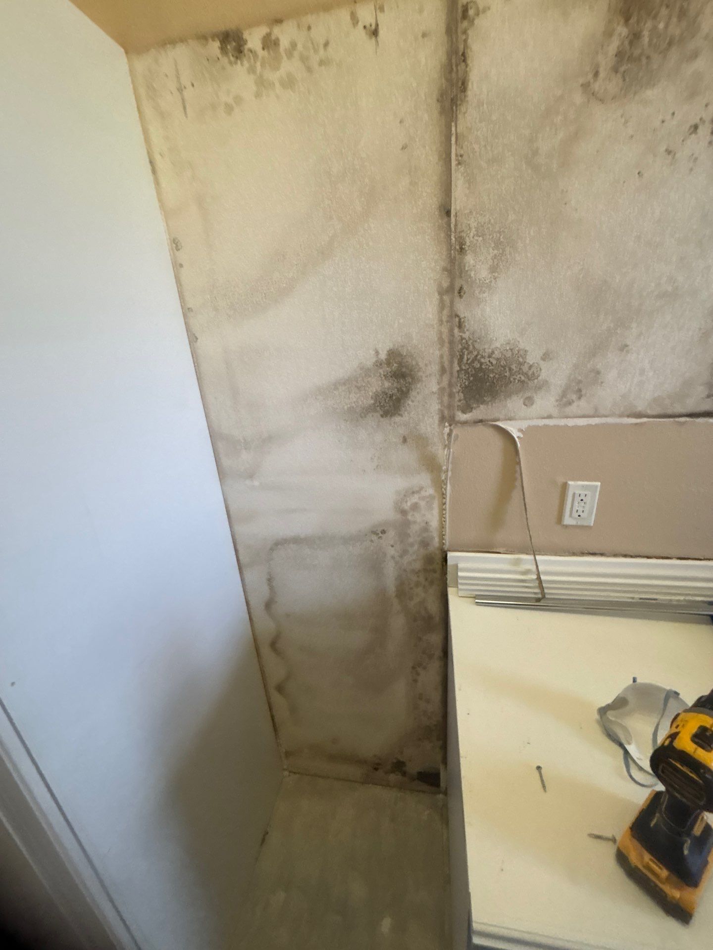 Mold Damage Inspection & Removal In Parrish, FL by Ampm Restoration Services