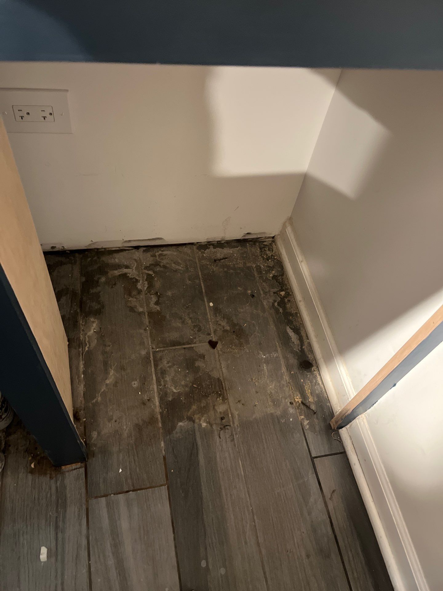 Project in Cicero by Xo Clean Services 