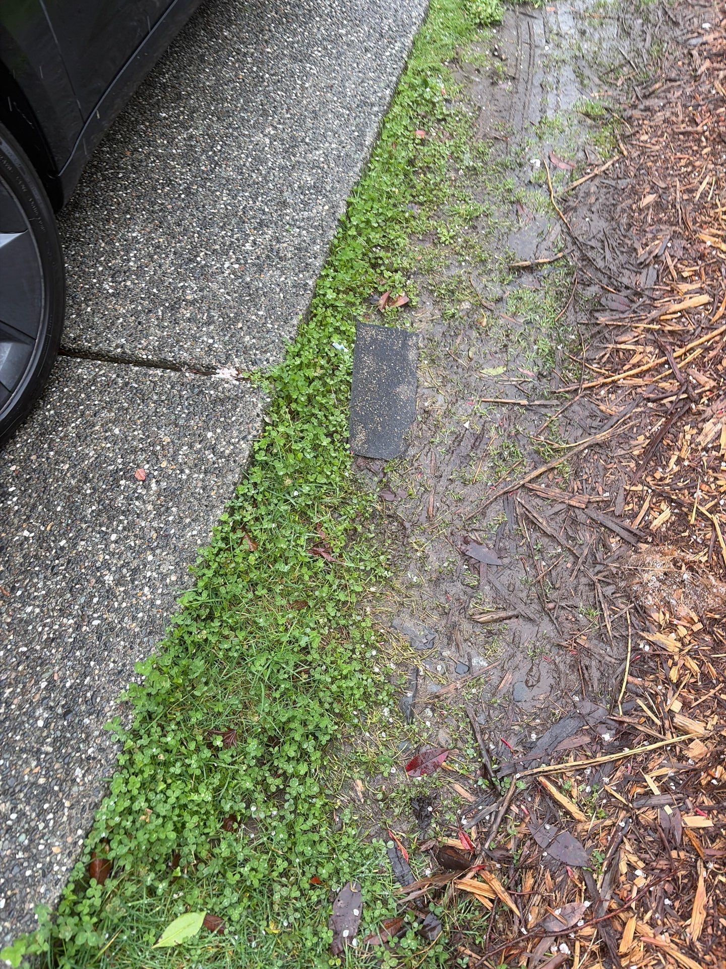 Roof in Lake Stevens by Connolly Construction Company