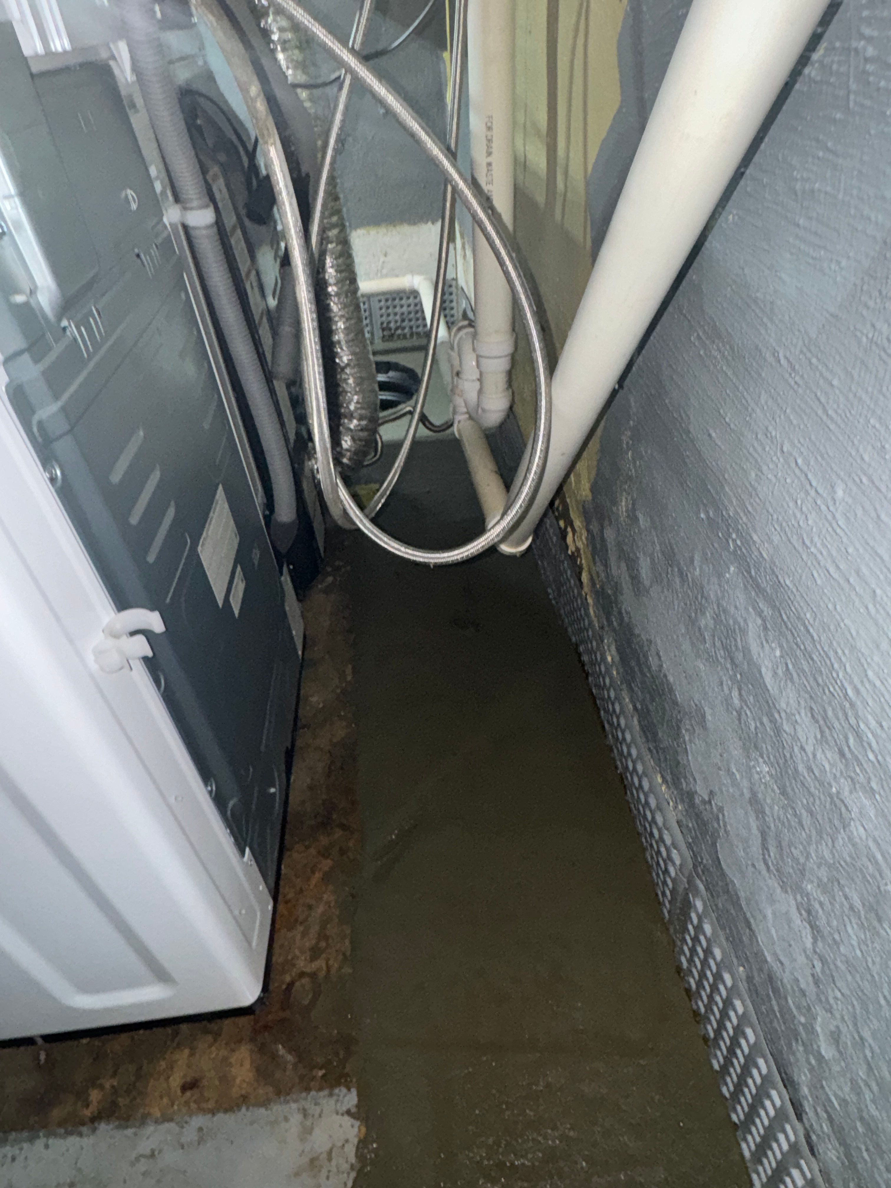 Interior French Drain River Edge NJ by Pure Service Pro, LLC 