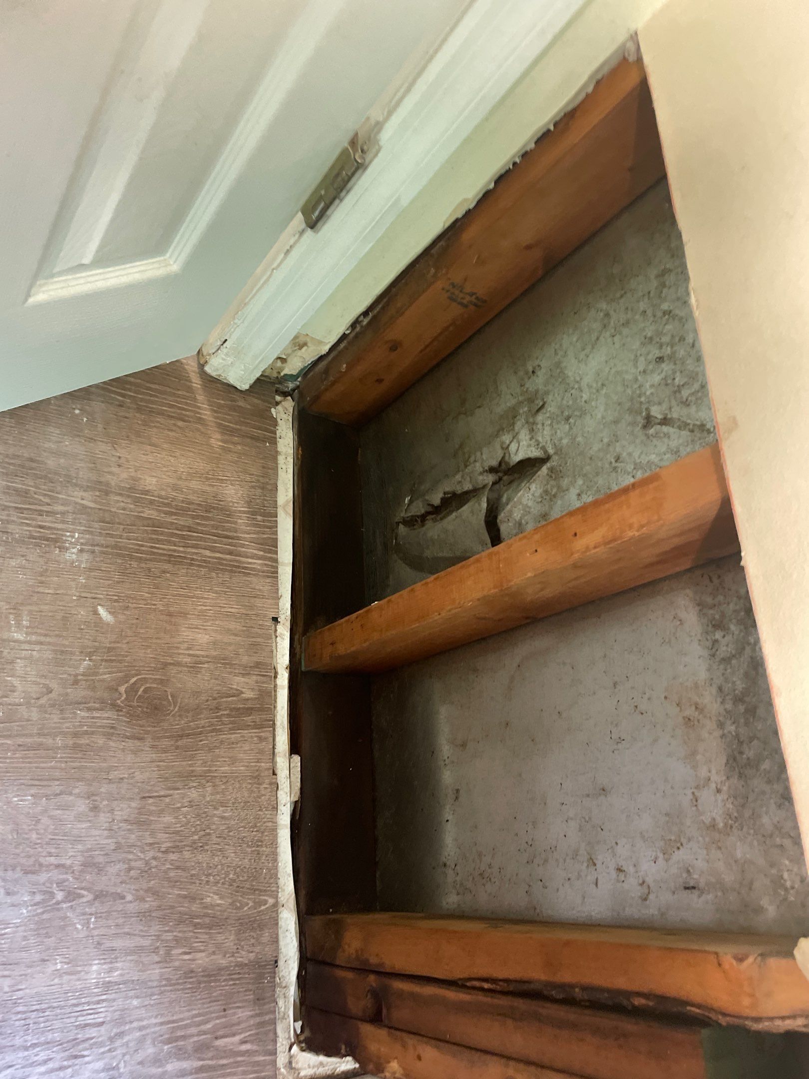 Water Damage Restoration - Mold Remediation and Asbestos Abatement by EAS Environmental, LLC.