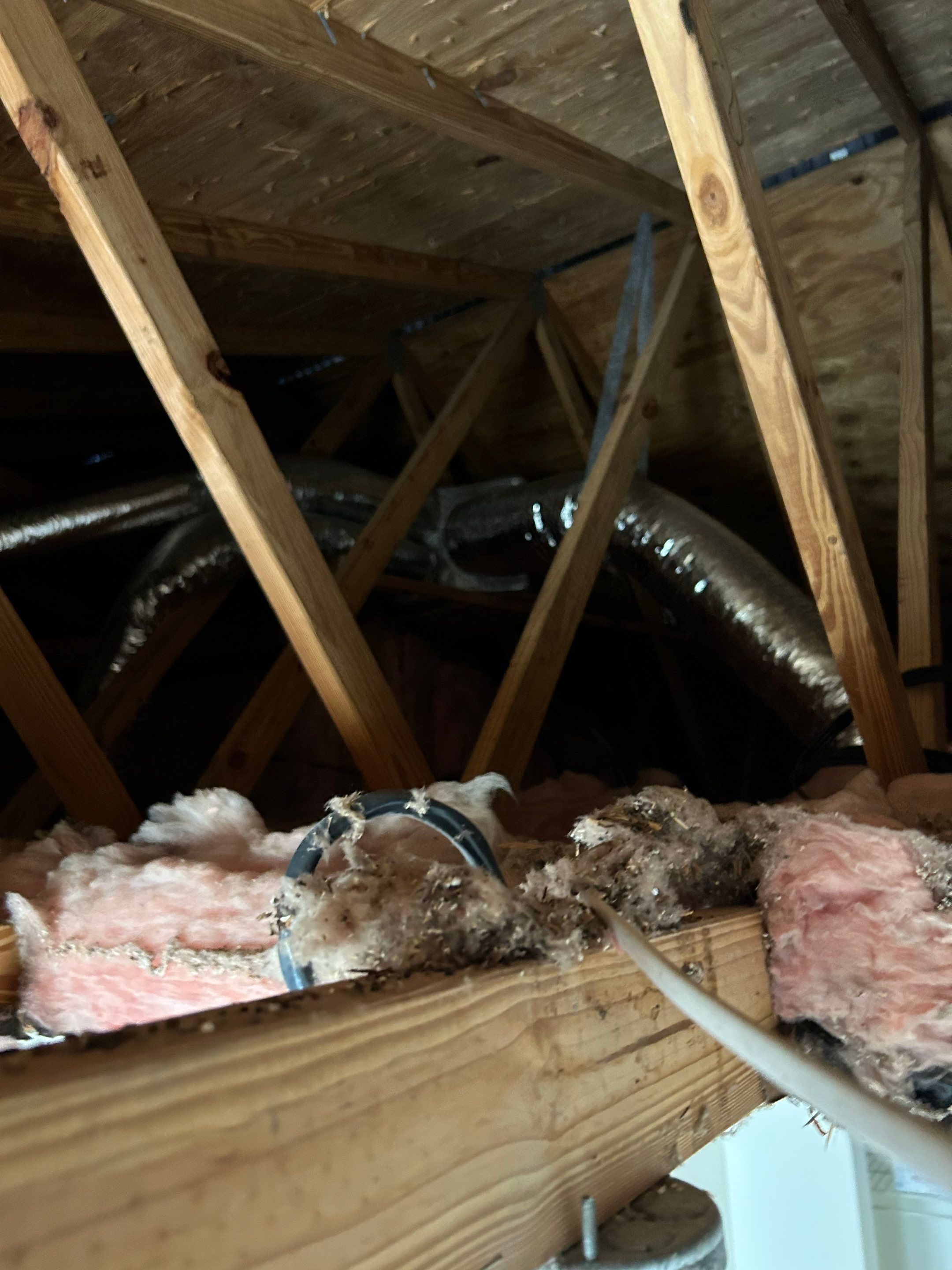 Project in North Port by Serene Construction