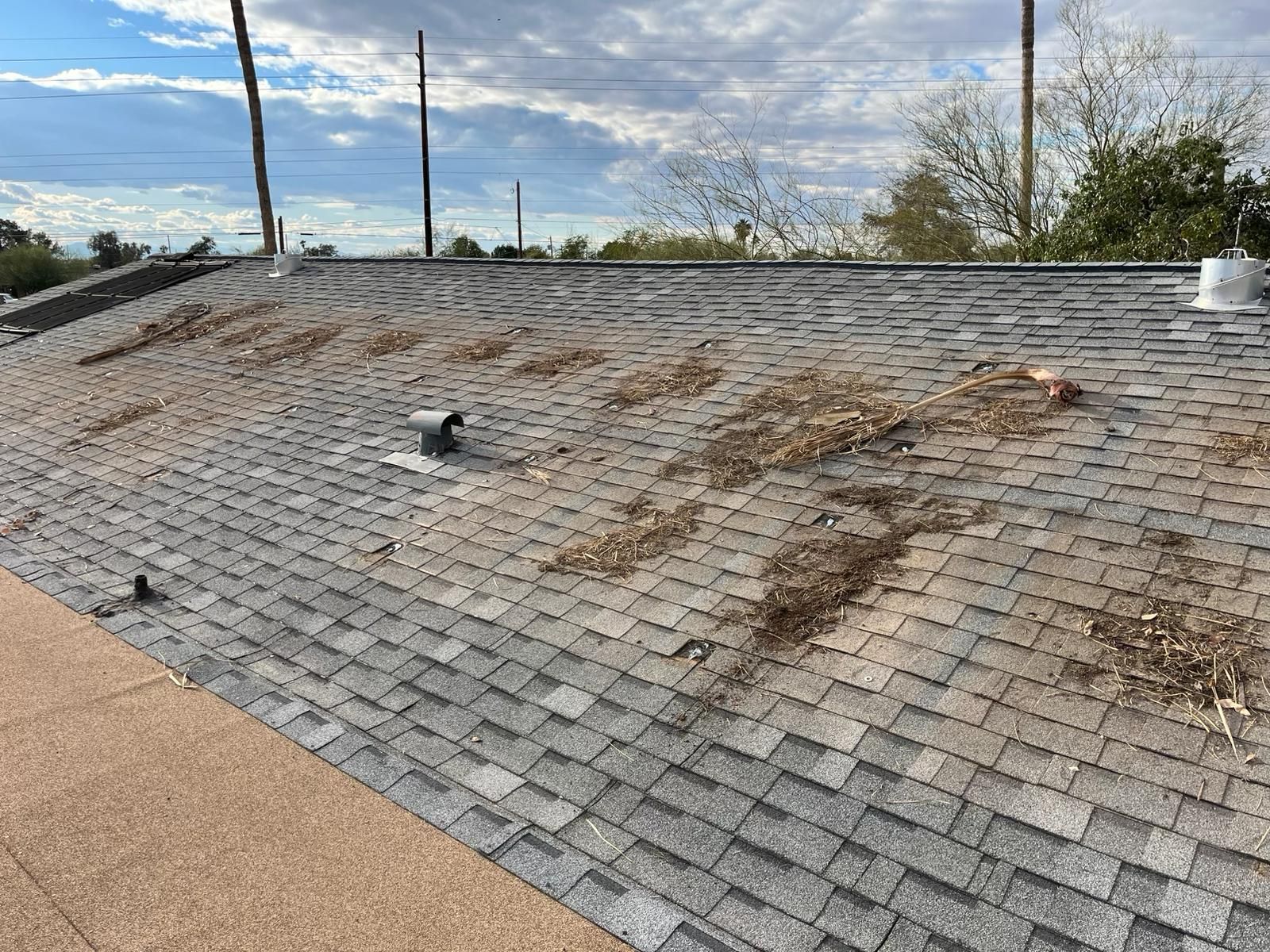 Desert Tan Shingles by Reimagine Roofing
