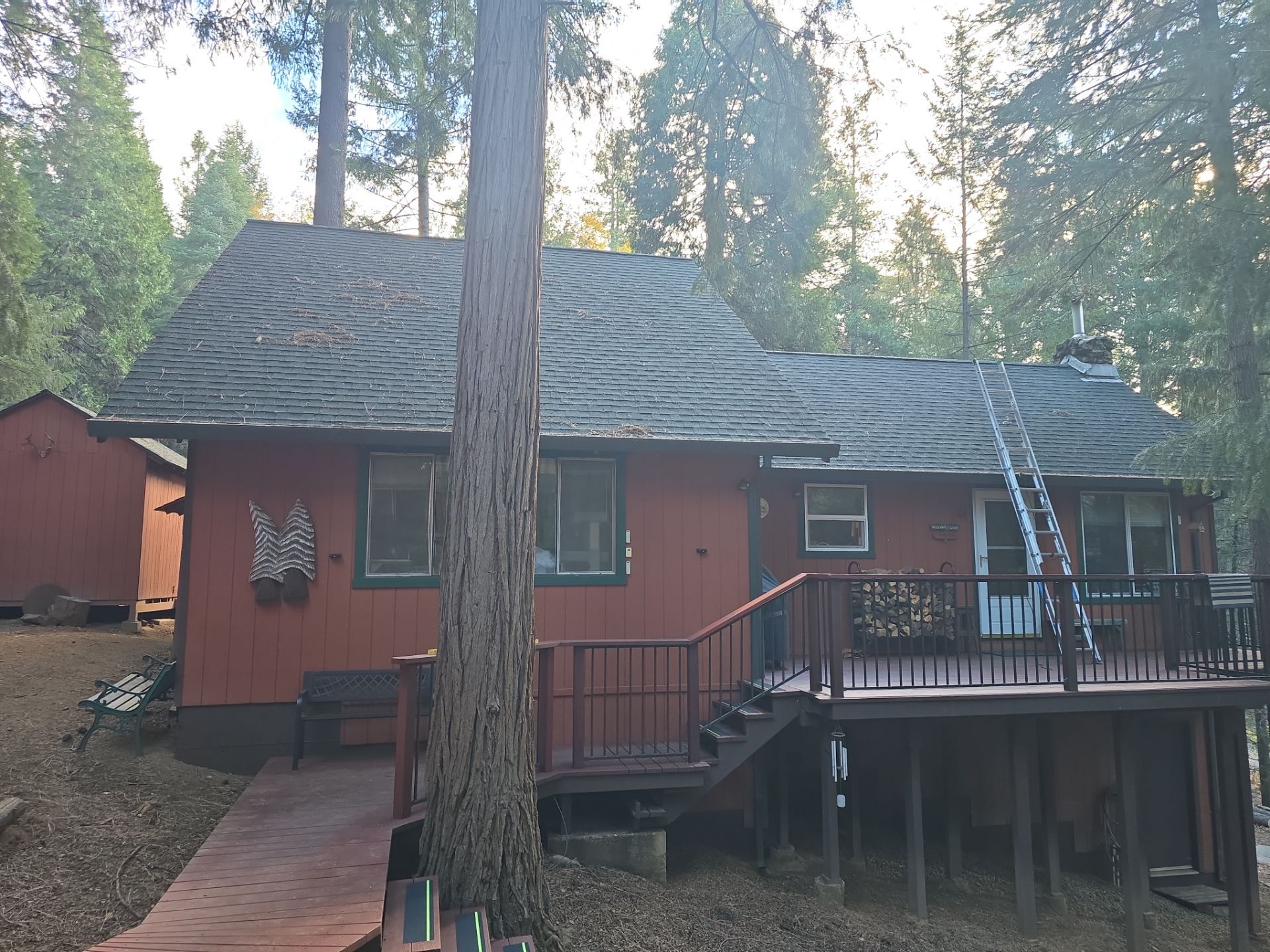 Roof Rejuvenation using Roof Maxx Treatment by Roof Maxx of Folsom