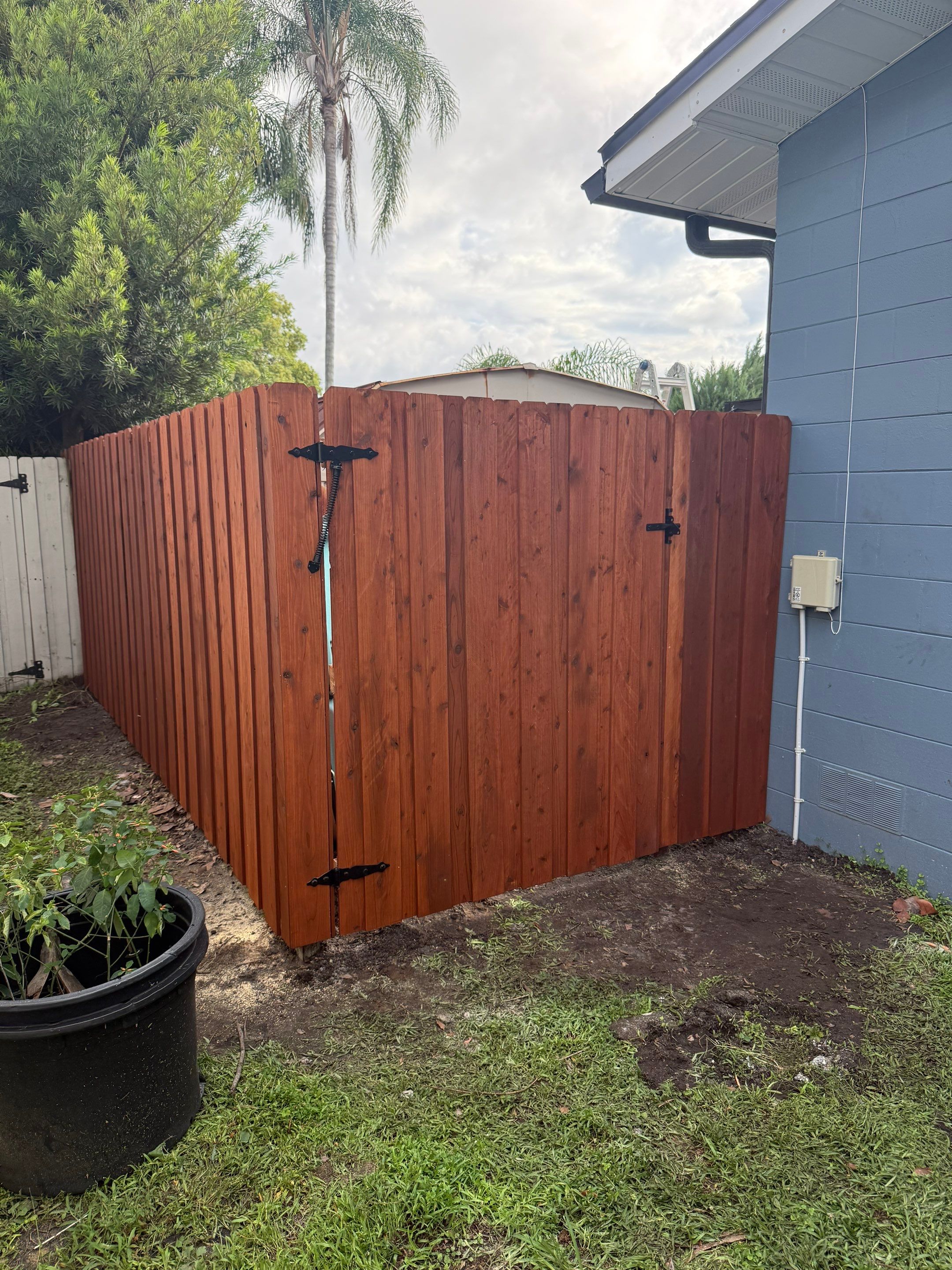 Waterfront Stained Board on Board Privacy Fence In Orlando by Asap fence and gates, LLC