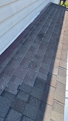 Turtle Shell gutter protection installation in Wheaton, IL 60189, photograph 9