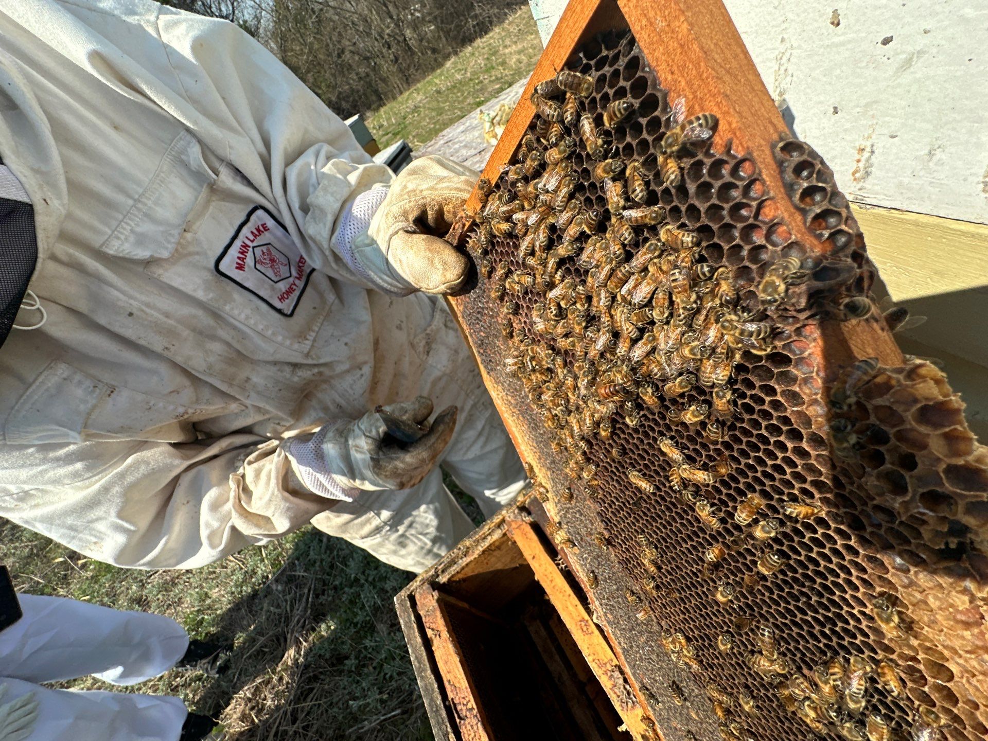 Teaching at an Apiary in Rowlett by Rockwall Honey Bee Company