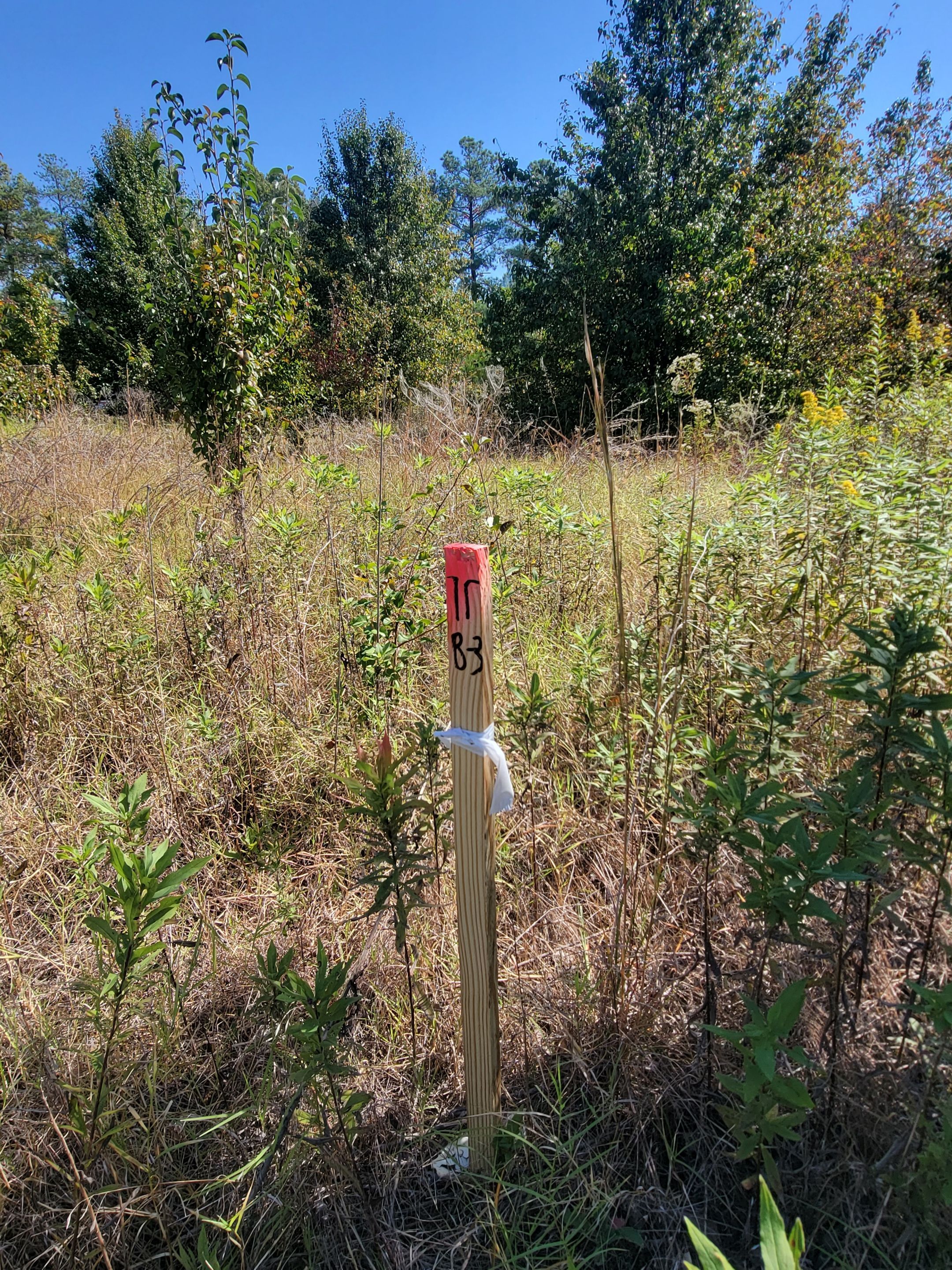 Soil Boring Locations by Alsip Locating Service, LLC