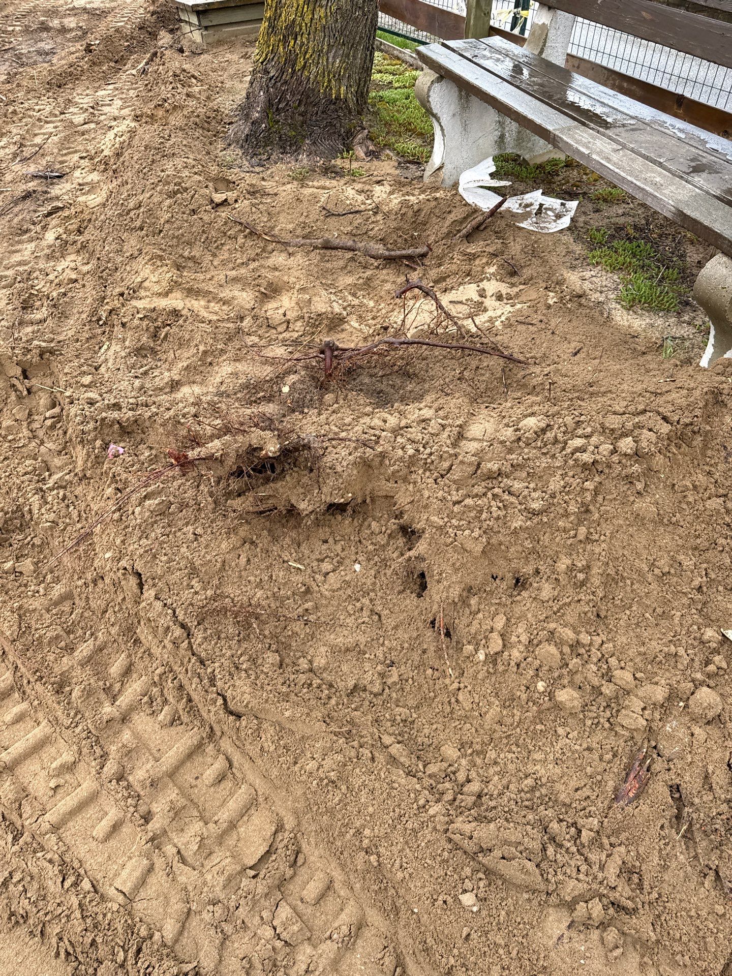 Port Elgin Tourist Camp  by Bray’k Away Development