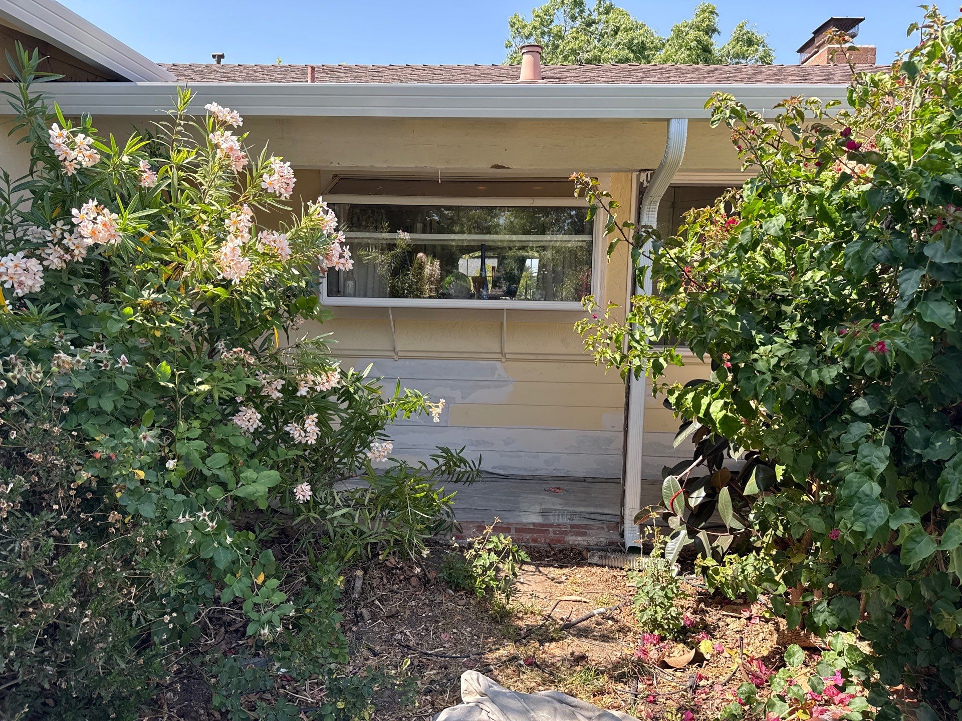 Project in Concord CA by Felix’s Painting 