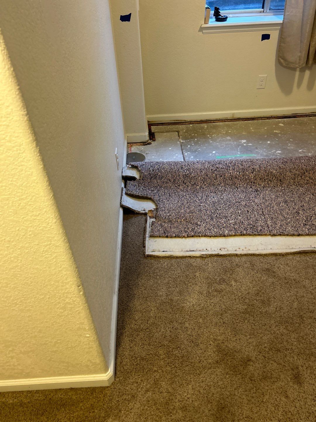 Mold Damage Project in Thornton by Accountable Home Services