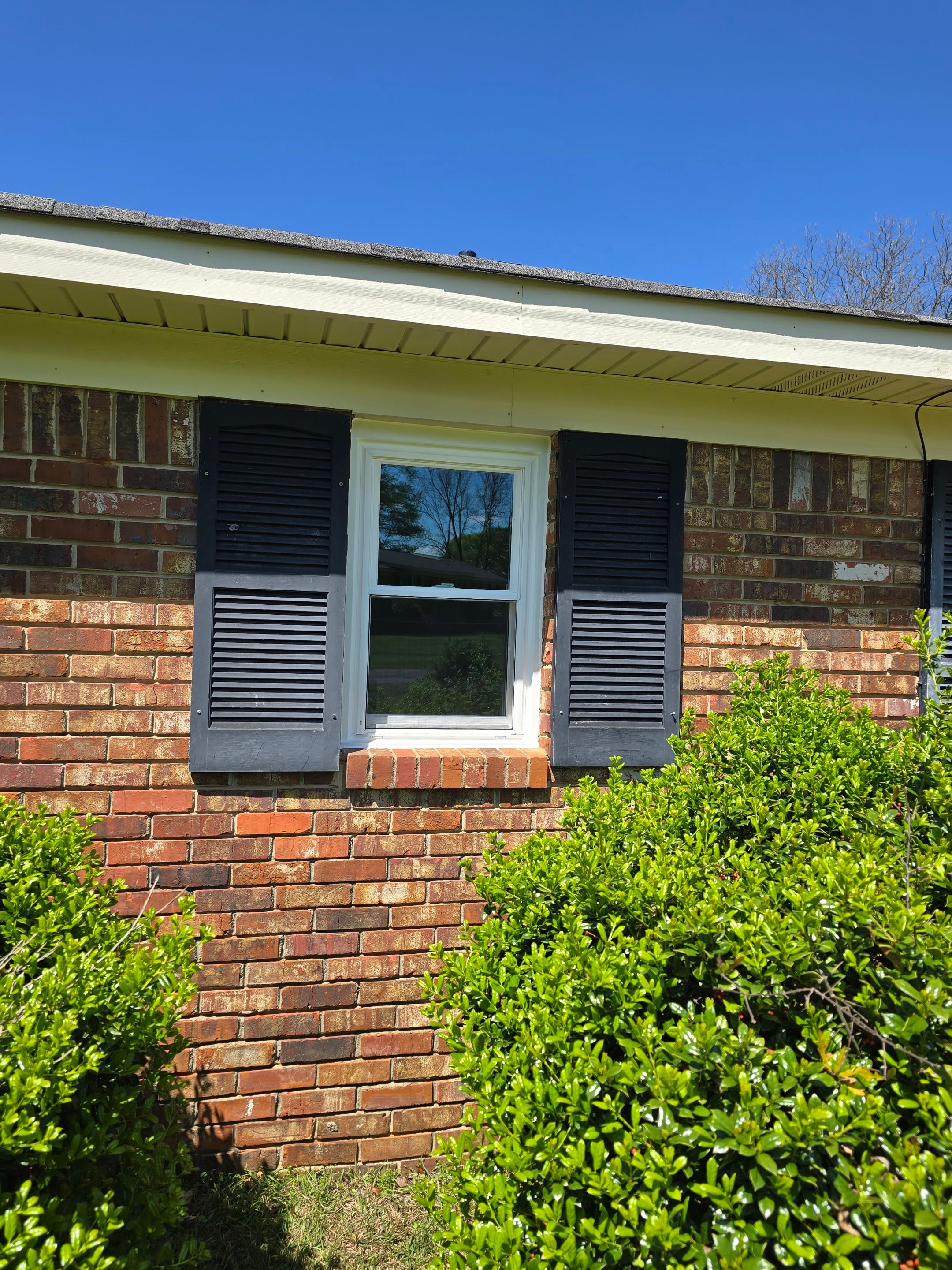 Boyd Project in Tuscaloosa  by The Window Source