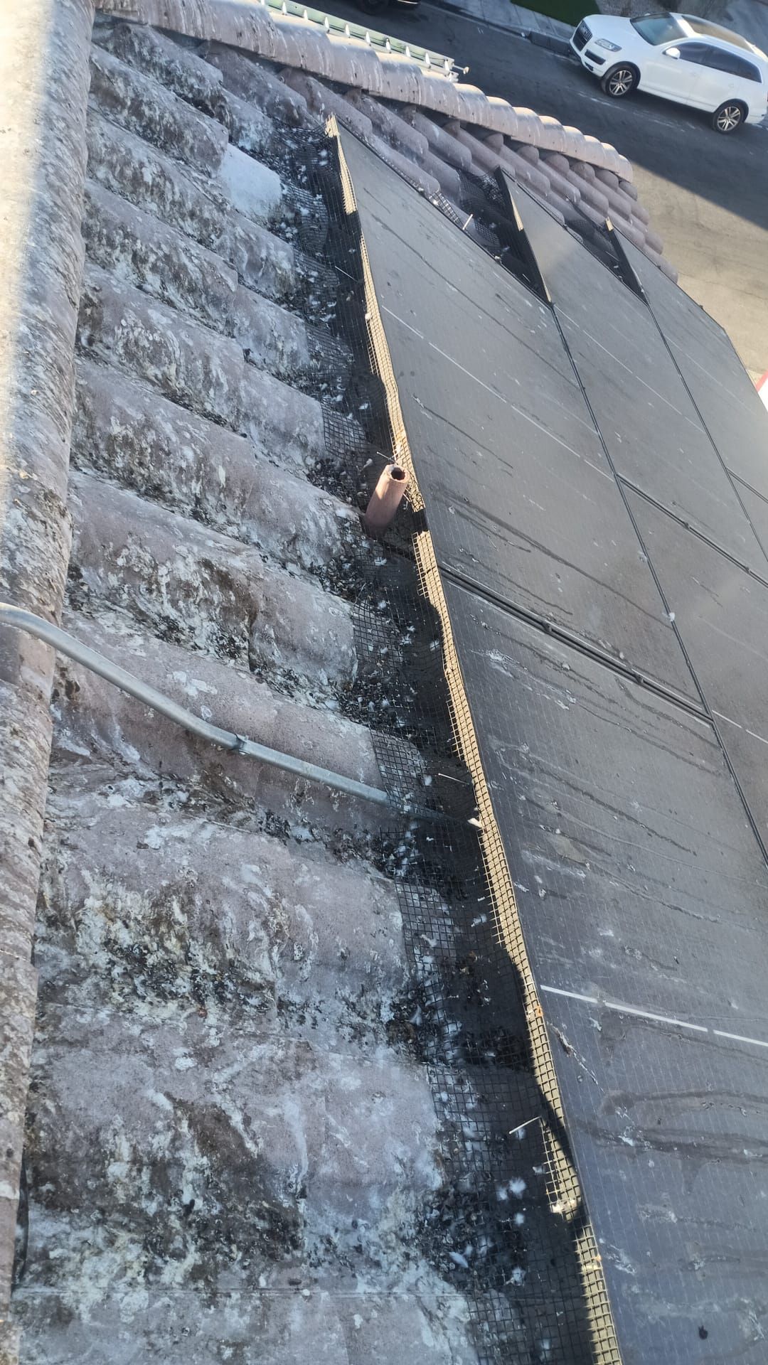 Excessive pigeon problem  by Solar Honest Cleaning 
