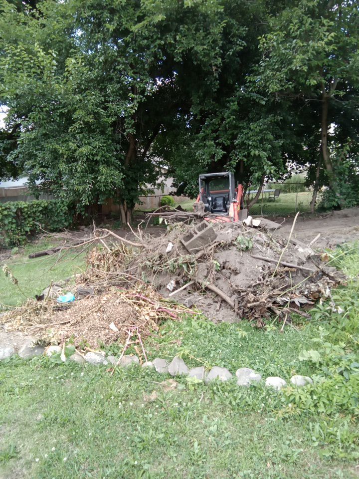 Tree Removal using Tree Removal by Mike Jones & Sons Tree Service LLC 