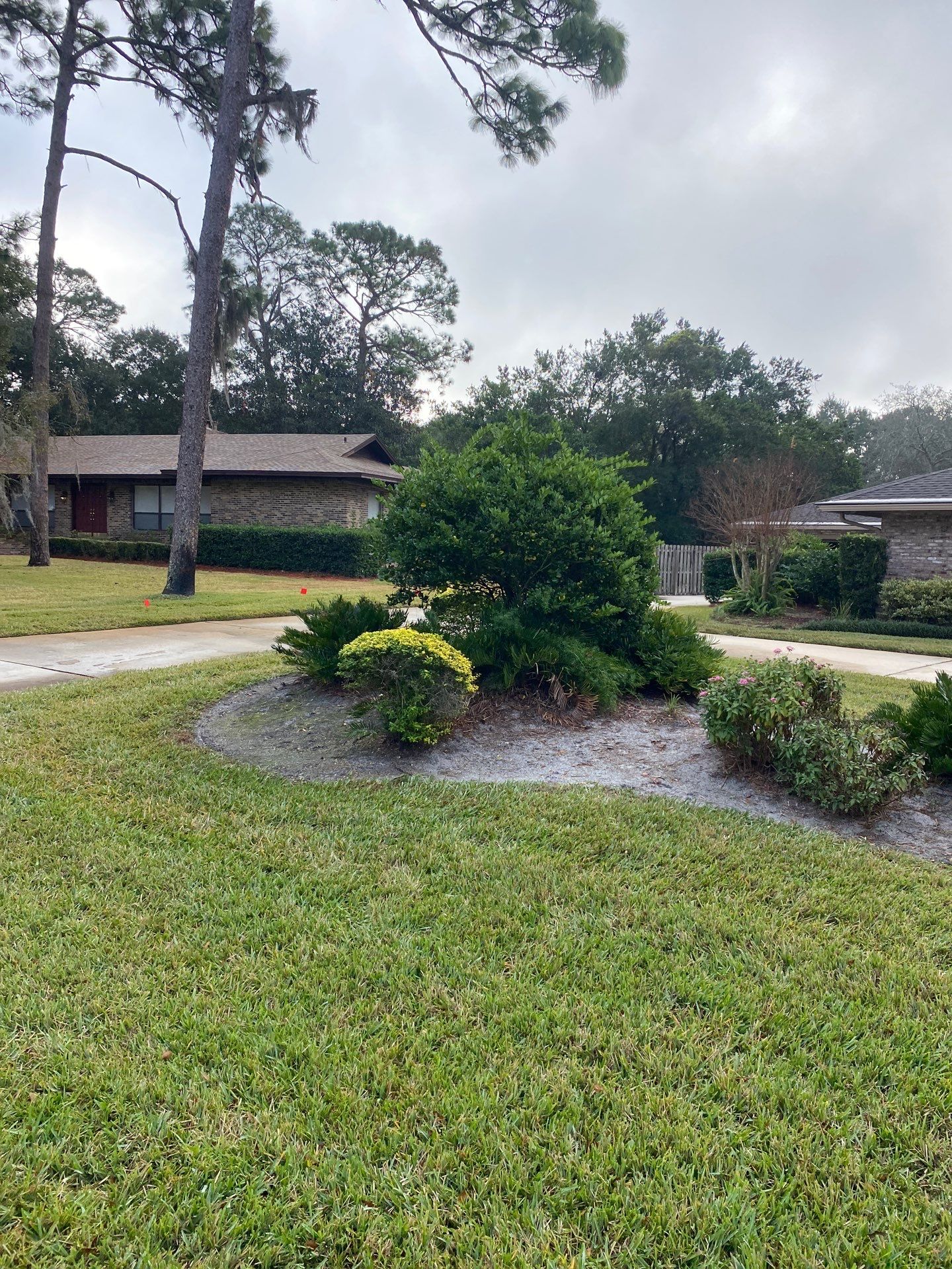 Deerwood Resident | Freshen Up Project by ProGreen Services