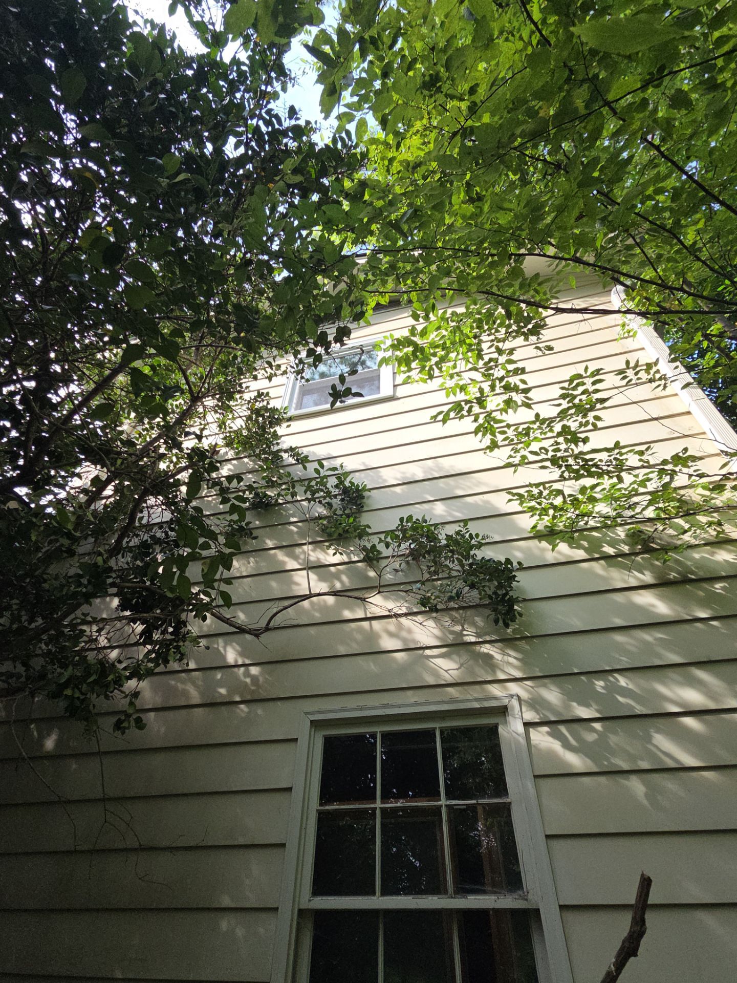 Project in Mountain Brook by The Window Source
