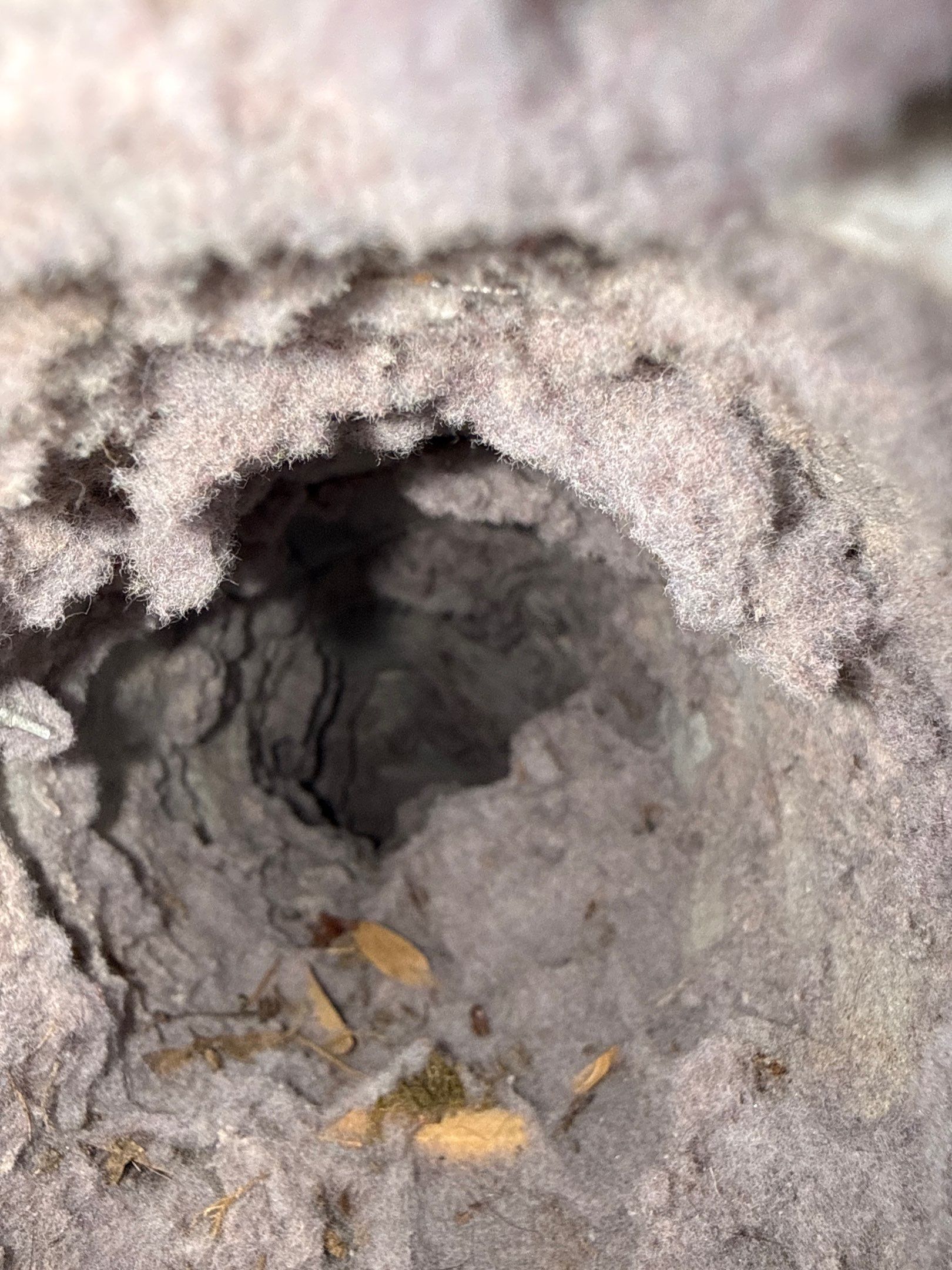 Dryer Vent Cleaning in Poland, OH by Superior Air Duct Cleaning