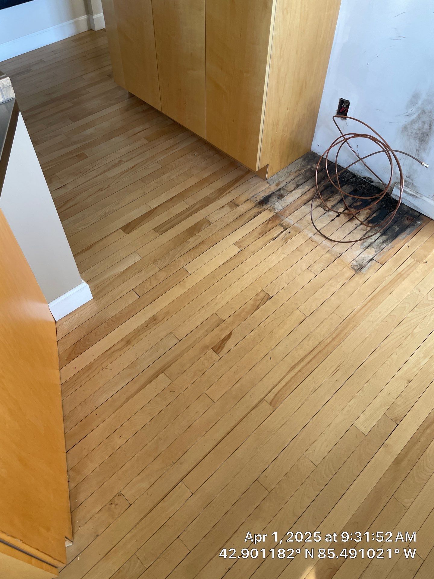 Water Damage Restoration On Solid Birch by RTBaldwin Hardwood Floors