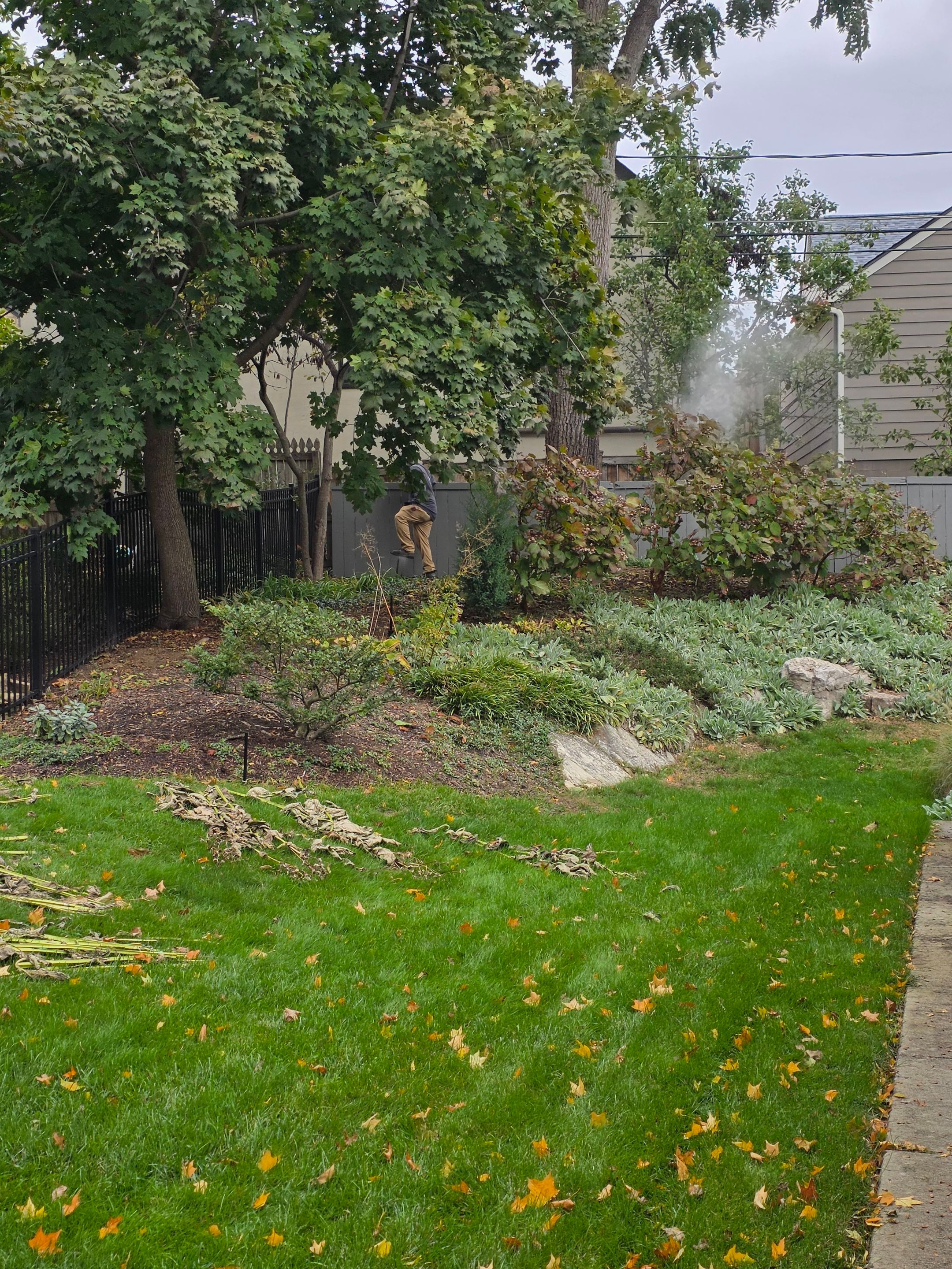 Murreyscott Res by Total Quality Horticultural Solutions 