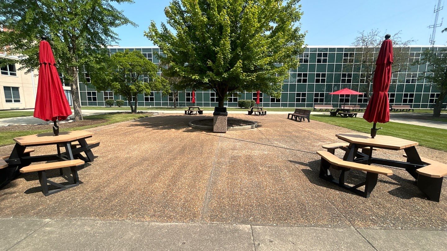 concrete using Algaecide, soft wash soap by Northern Power Washing LLC.