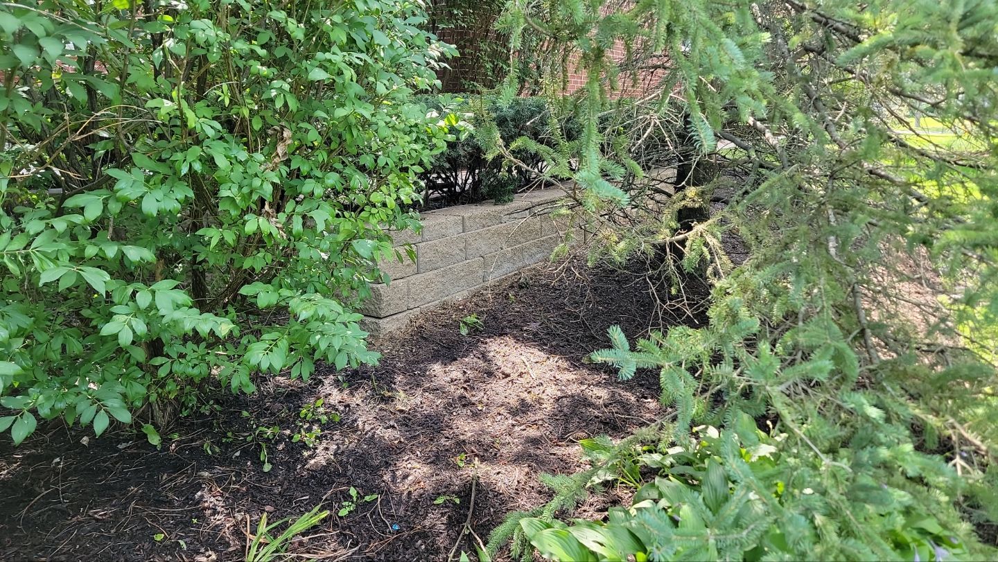 Brick paver repair, clean and seal by Northern Power Washing LLC.