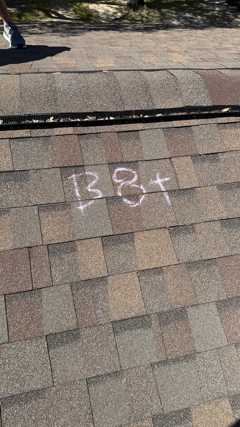 Robert T by Boss Hogg Roofing