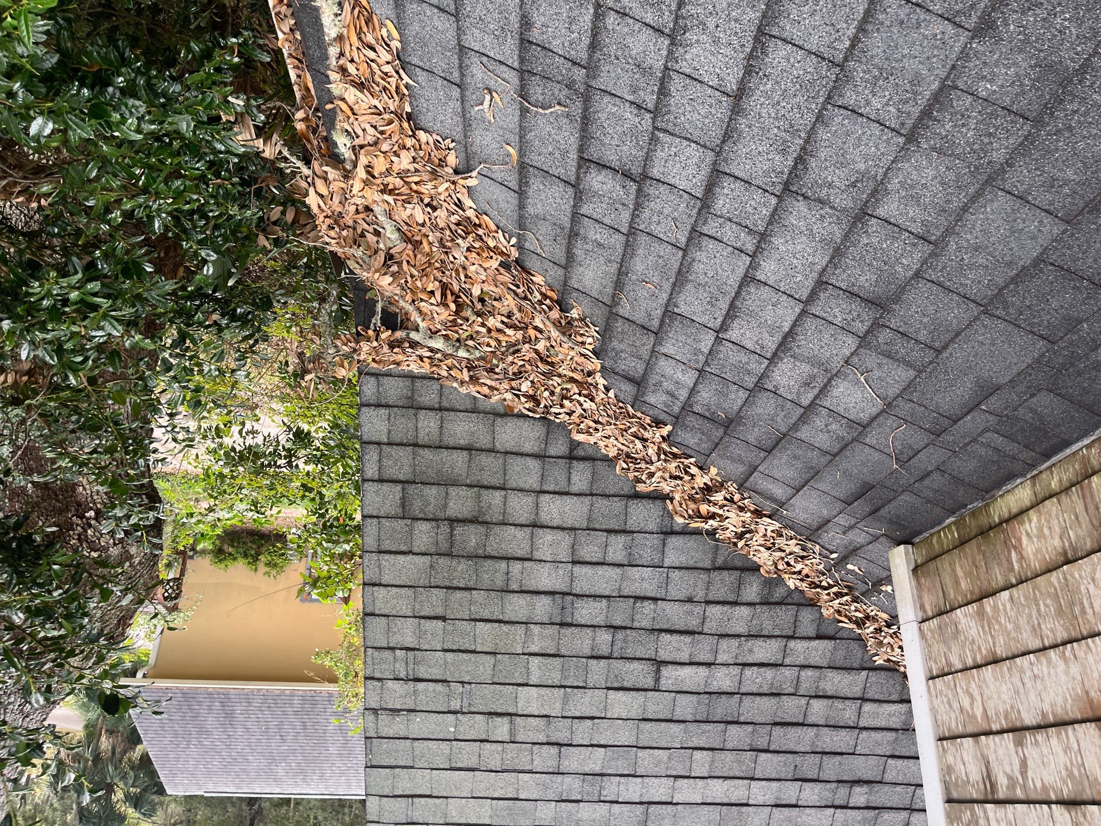 Shingle -> Shingle by Prime Roofing