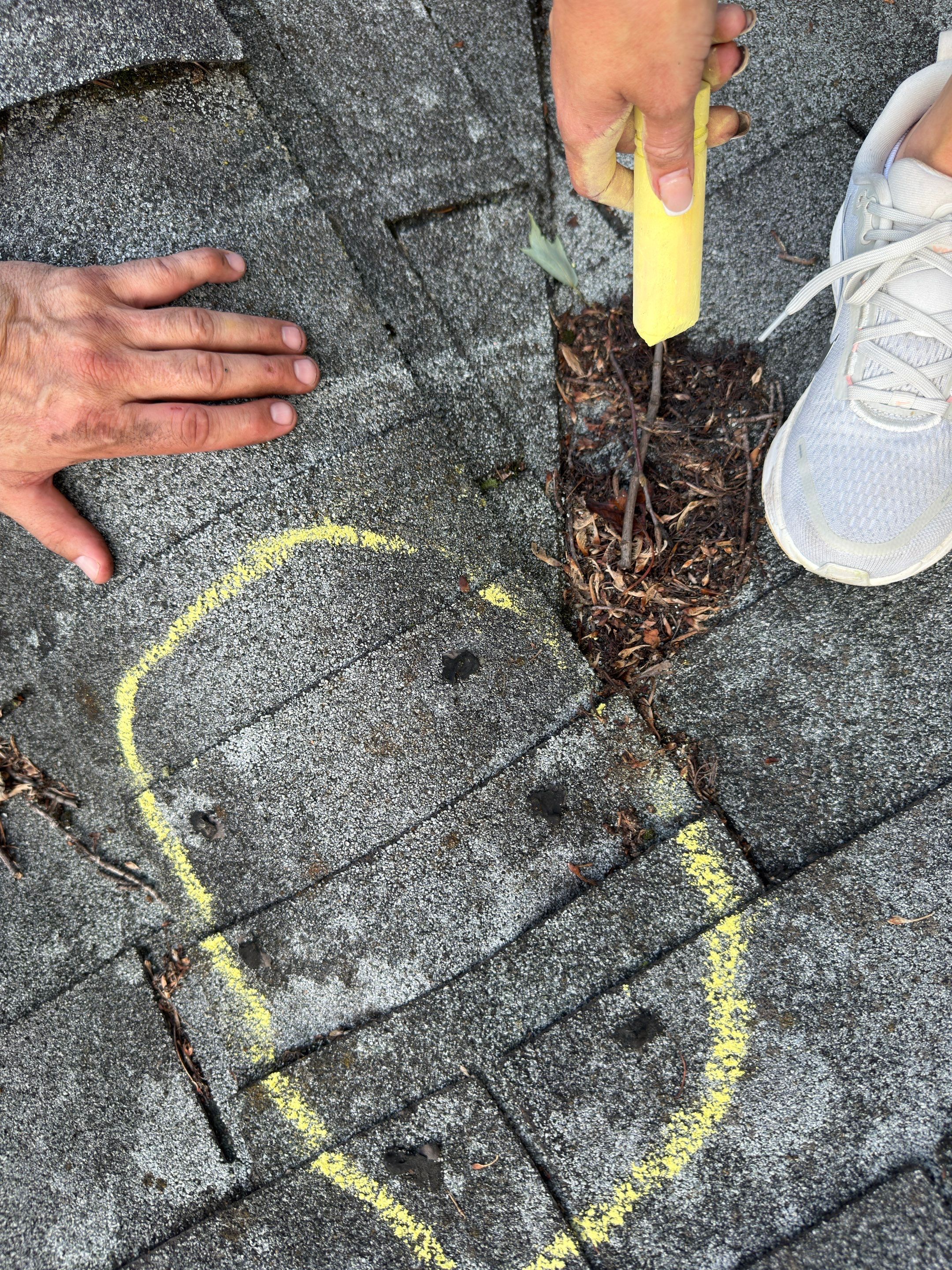 Water Damage Claim in Aldan by FLAPA & KeyStone