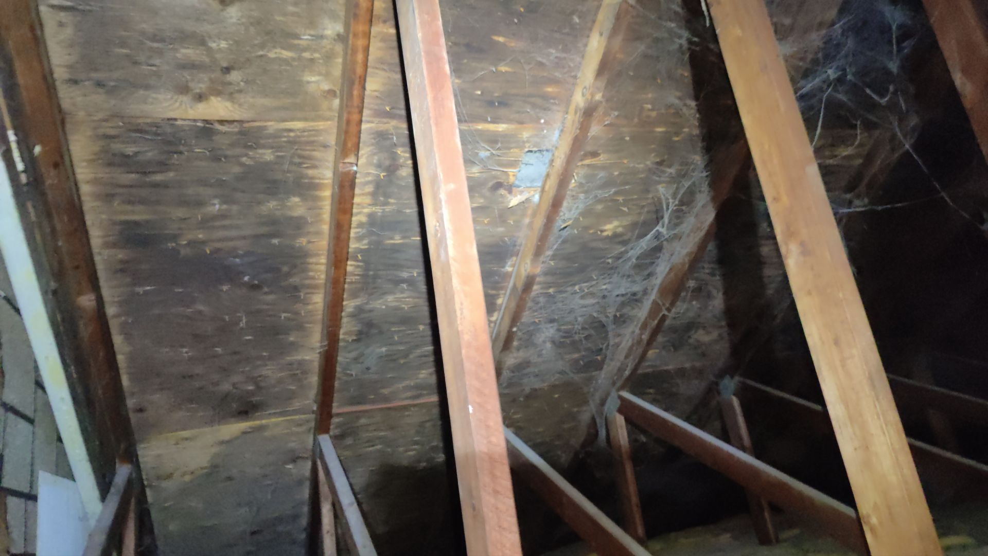 Roof Replacement using Owens Corning Midnight Plum by 180 Contractors